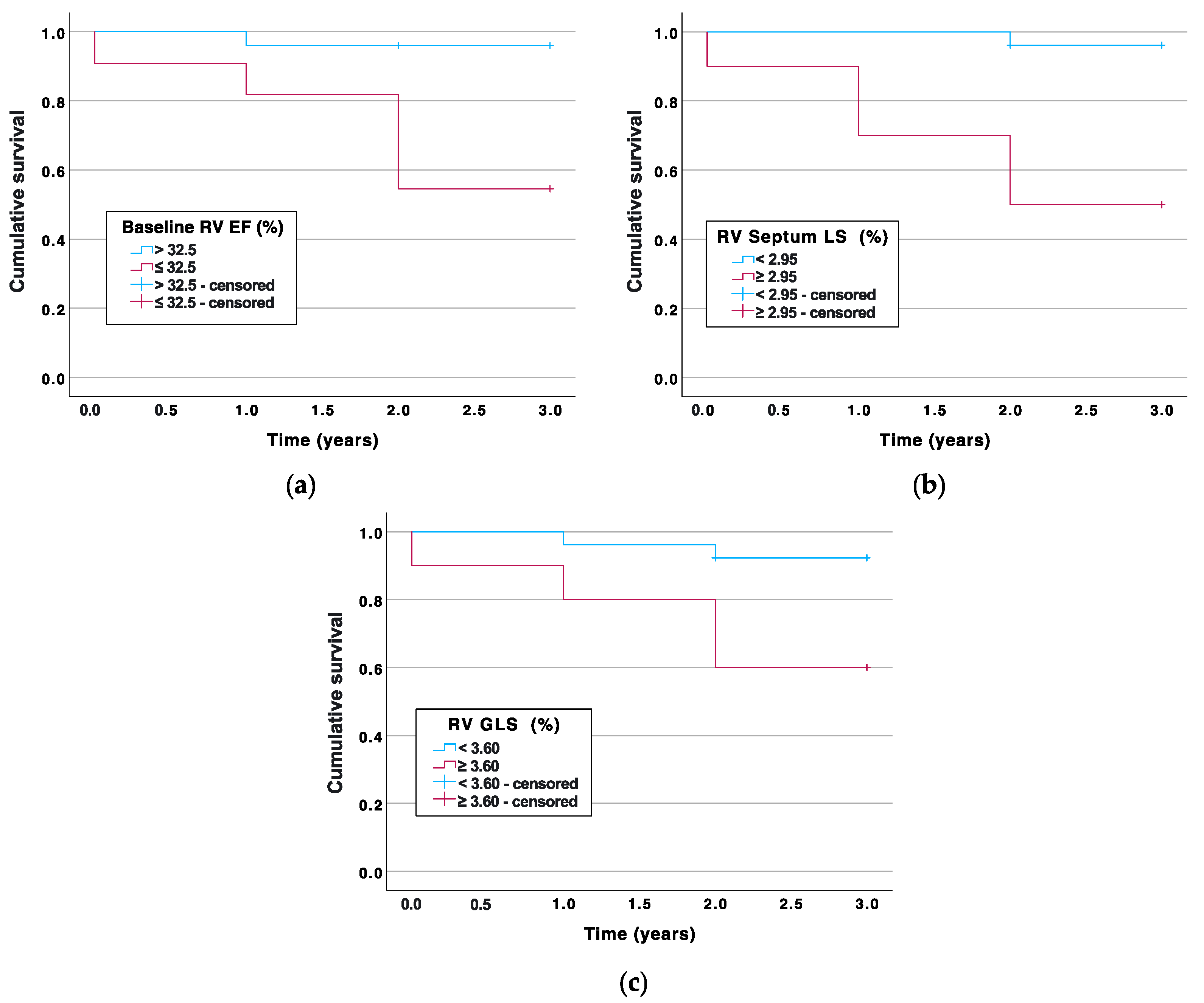 Medicina 60 00141 g002