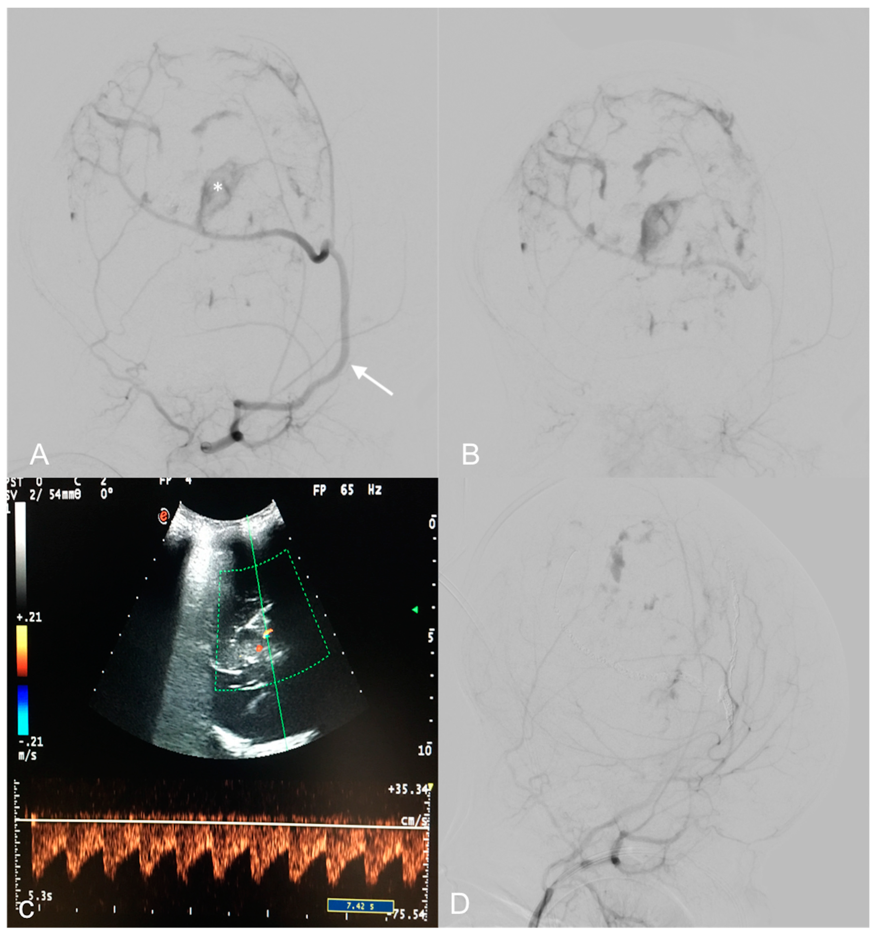 Medicina 60 00145 g002