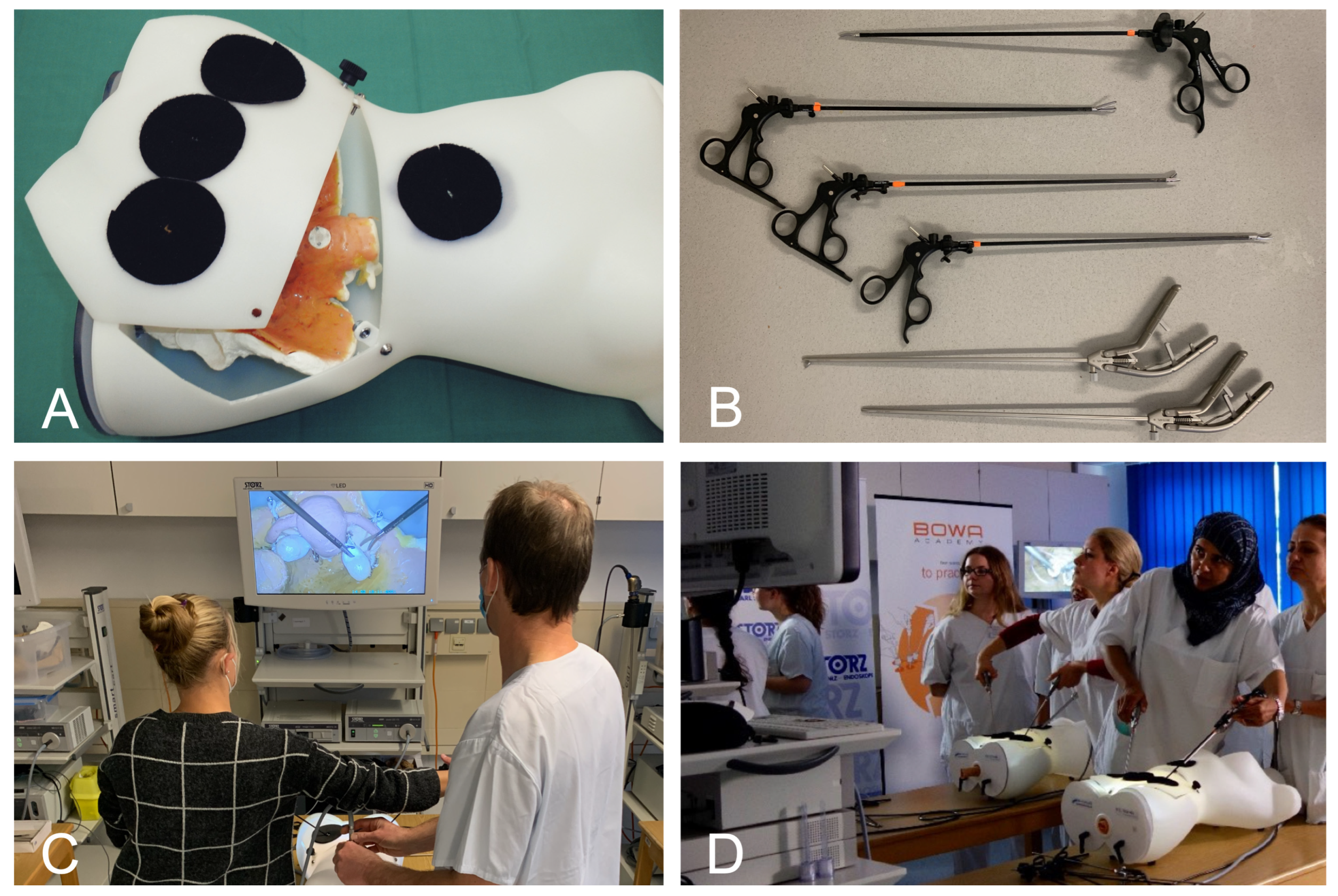 Medicina 60 00159 g001 Medicina 60 00159 g001