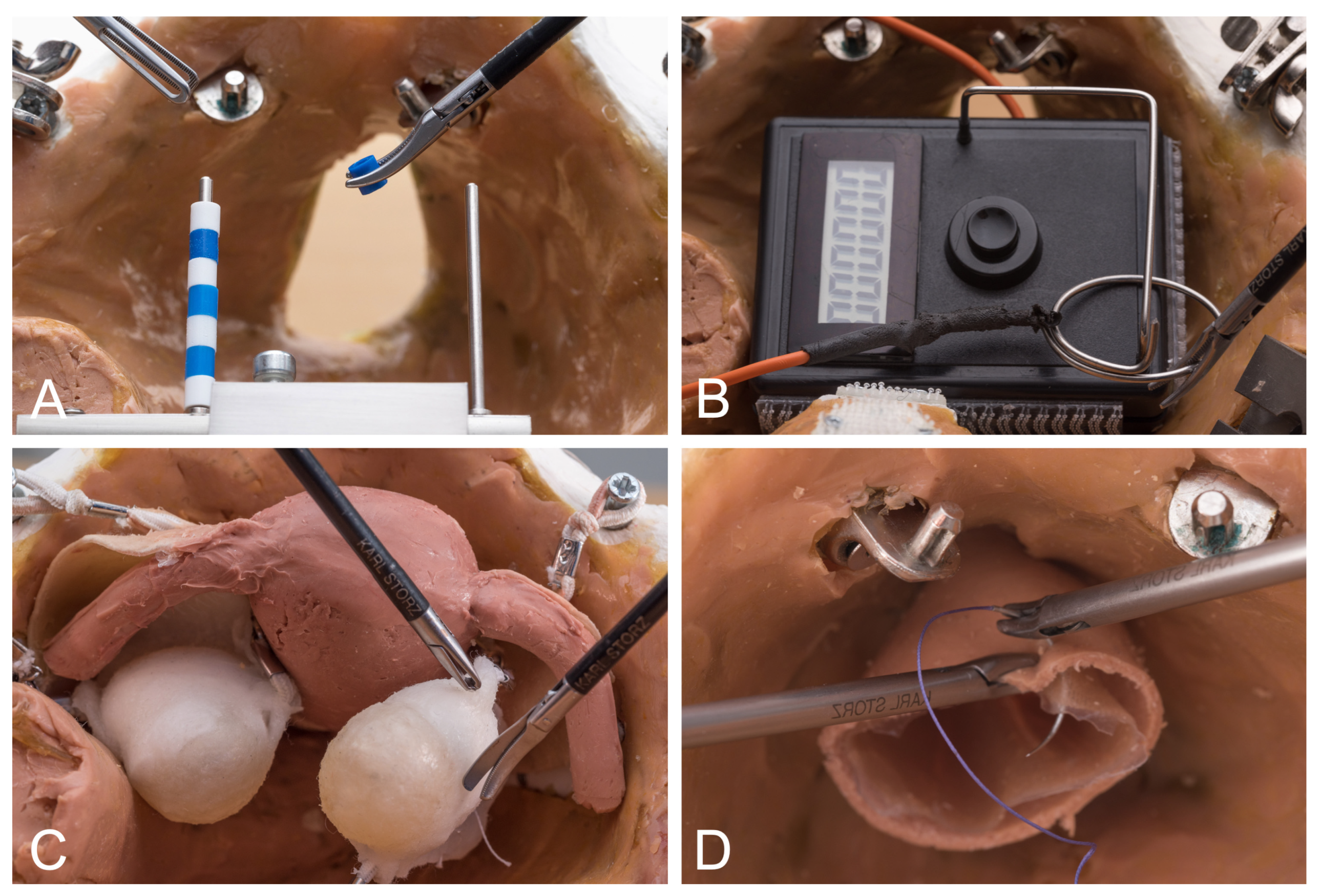 Medicina 60 00159 g002 Medicina 60 00159 g002