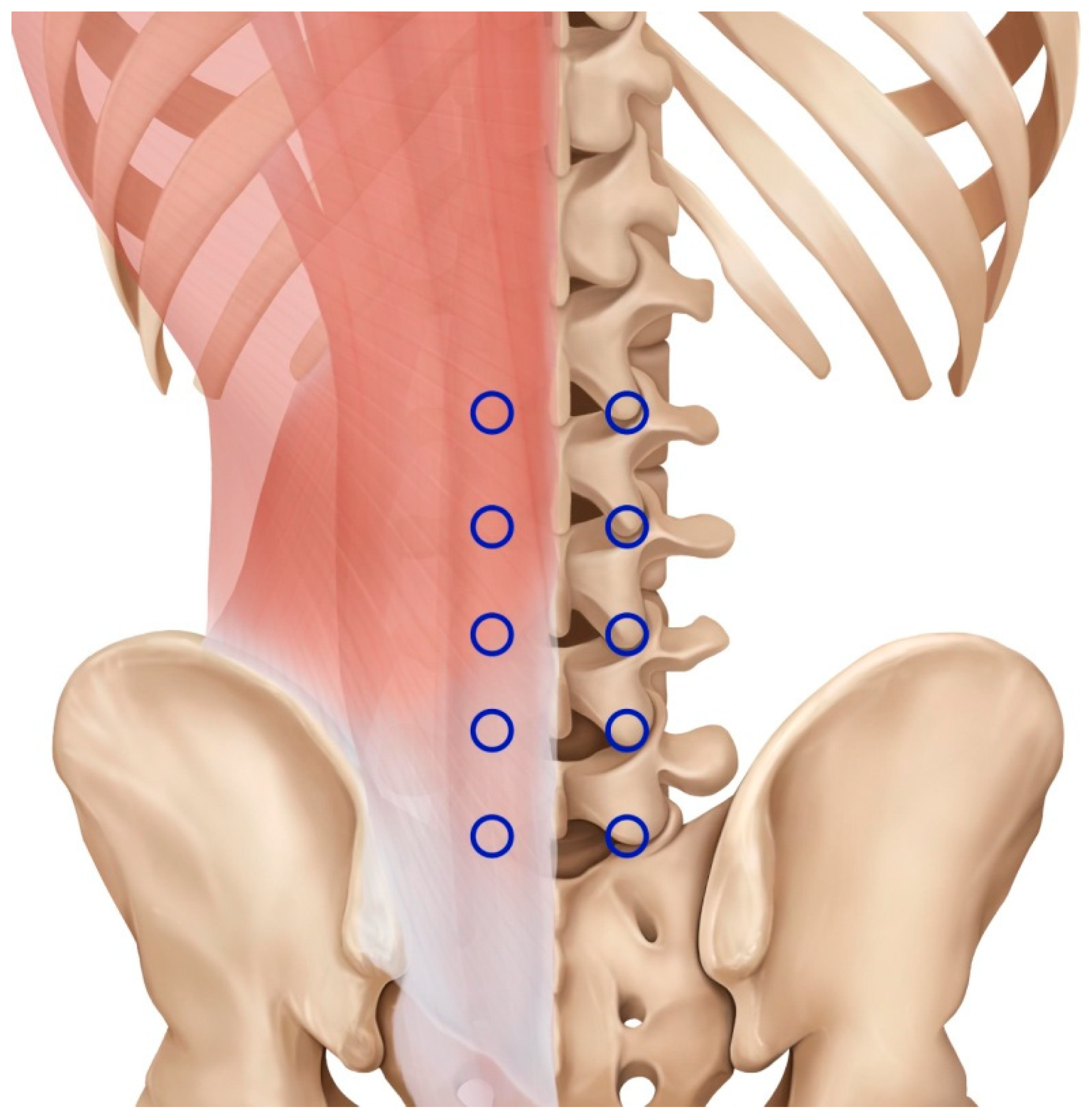 Medicina 60 00175 g001