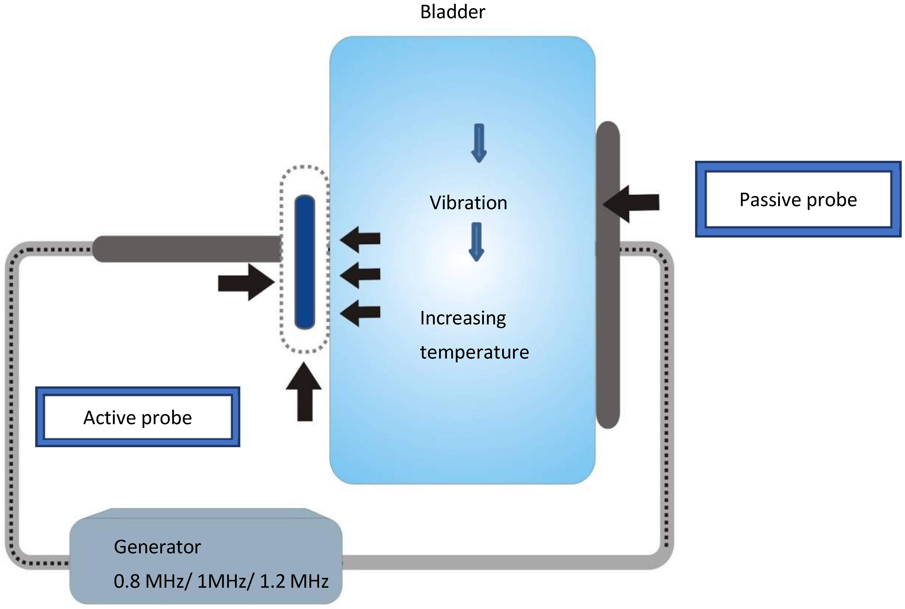 Medicina 60 00197 g001