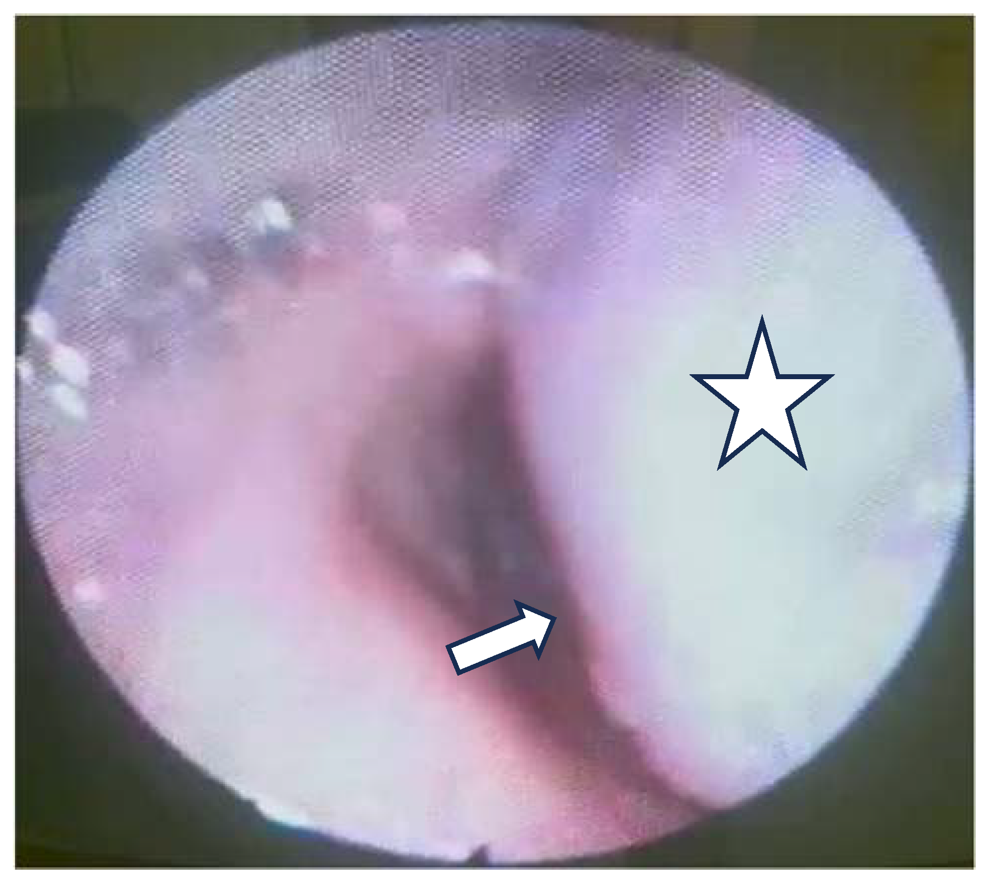 Medicina 60 00198 g001 Medicina 60 00198 g001