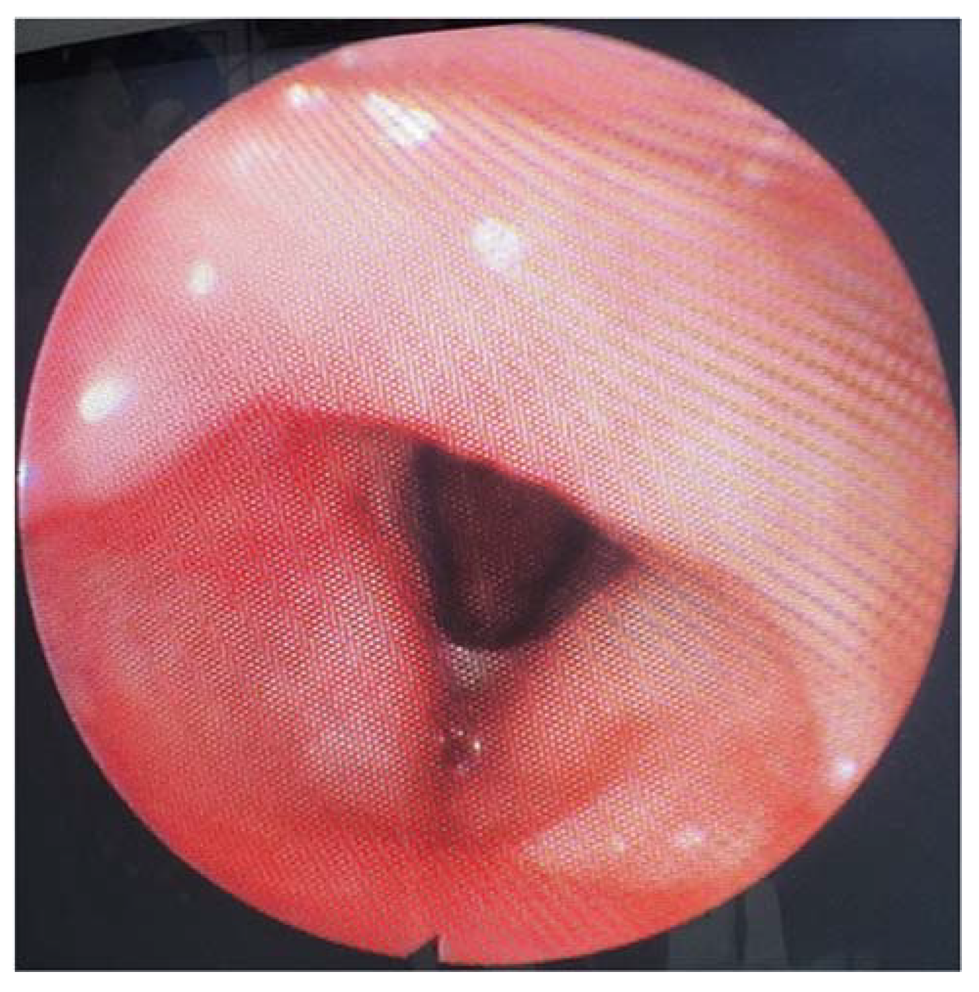 Medicina 60 00198 g008 Medicina 60 00198 g008