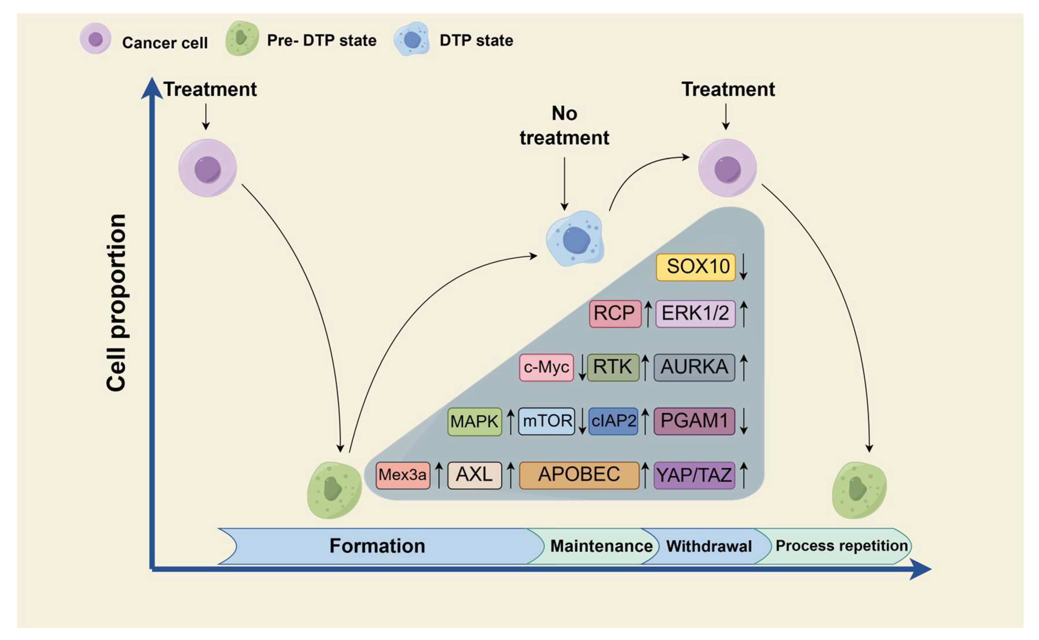 Medicina 60 00228 g002