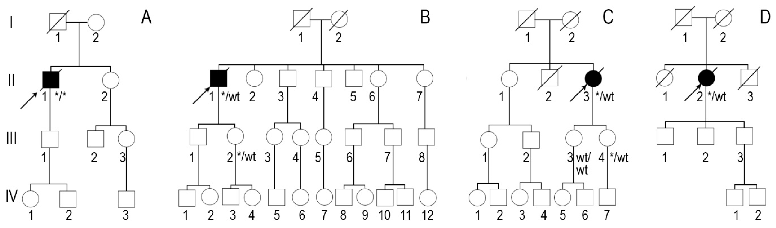 Medicina 60 00237 g001