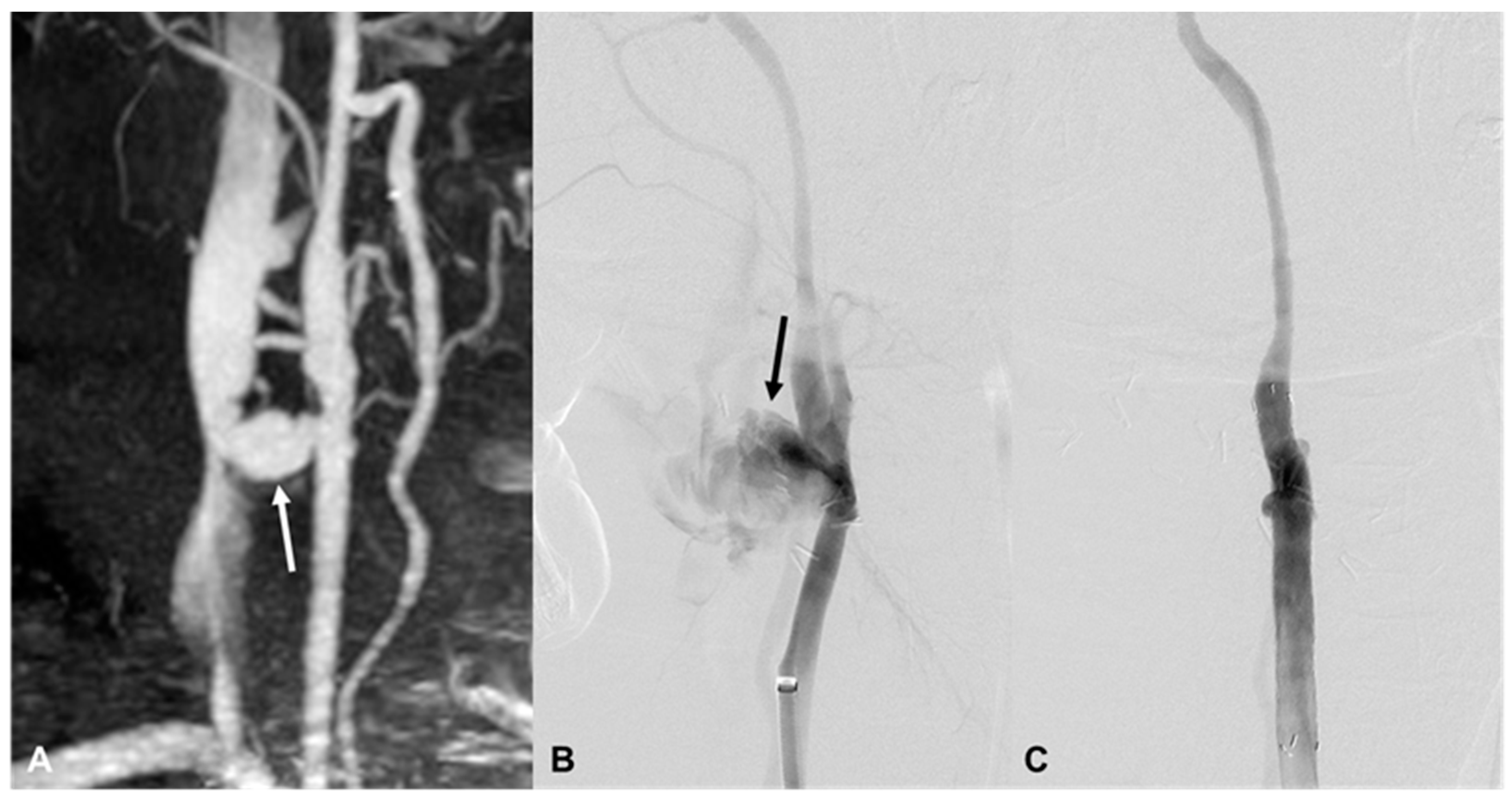 Medicina 60 00269 g002