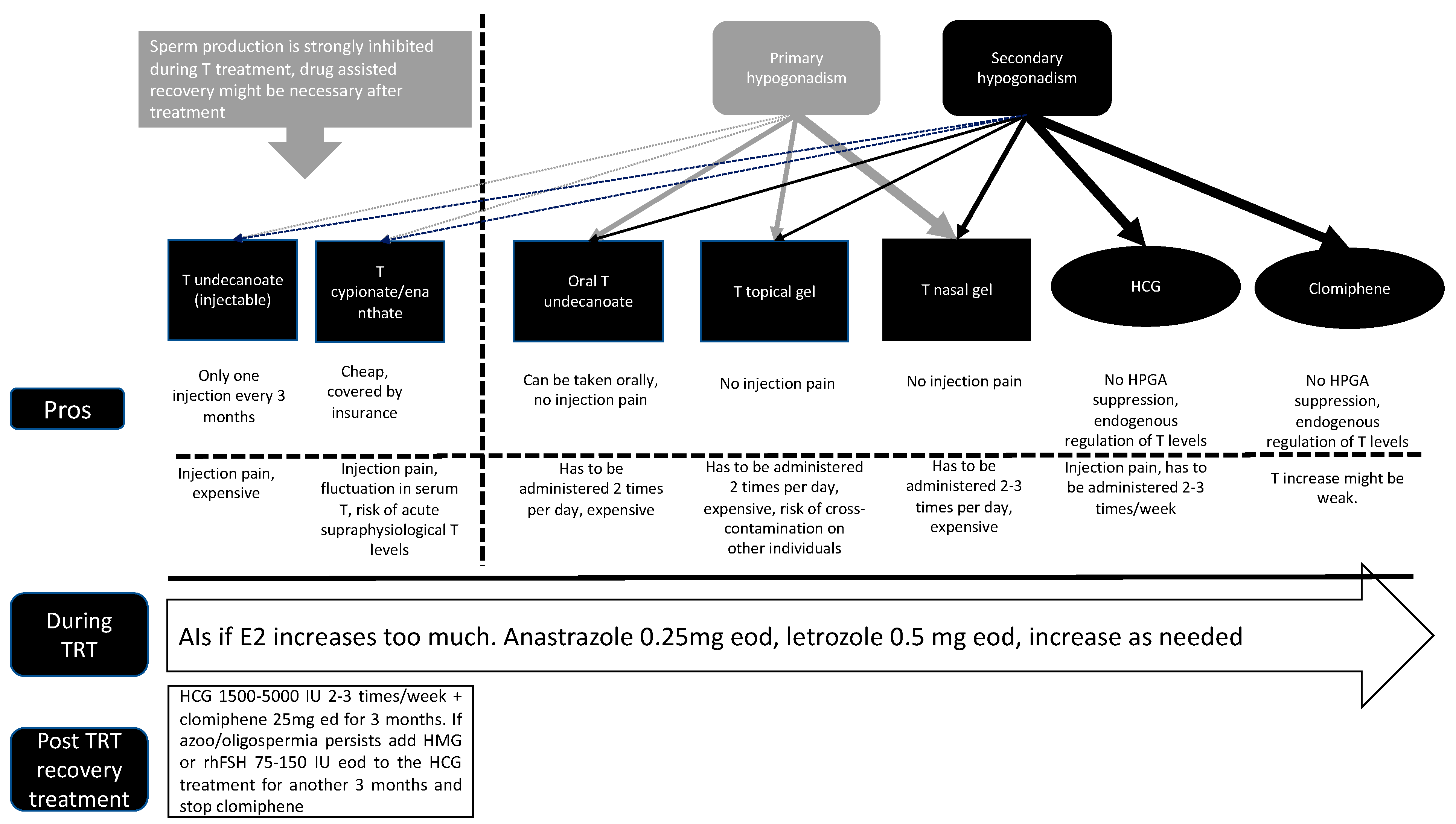 Medicina 60 00275 g001 Medicina 60 00275 g001