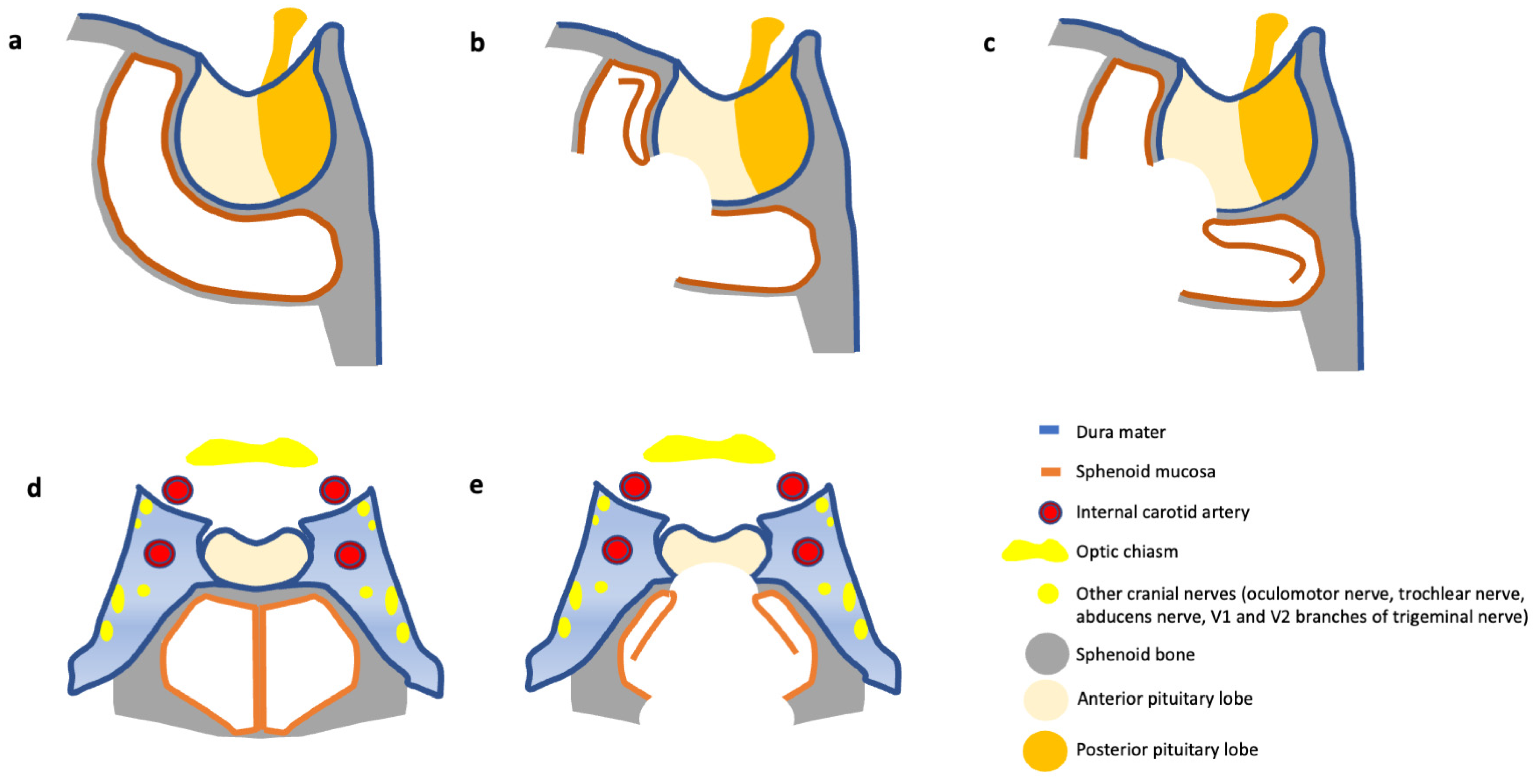Medicina 60 00282 g002