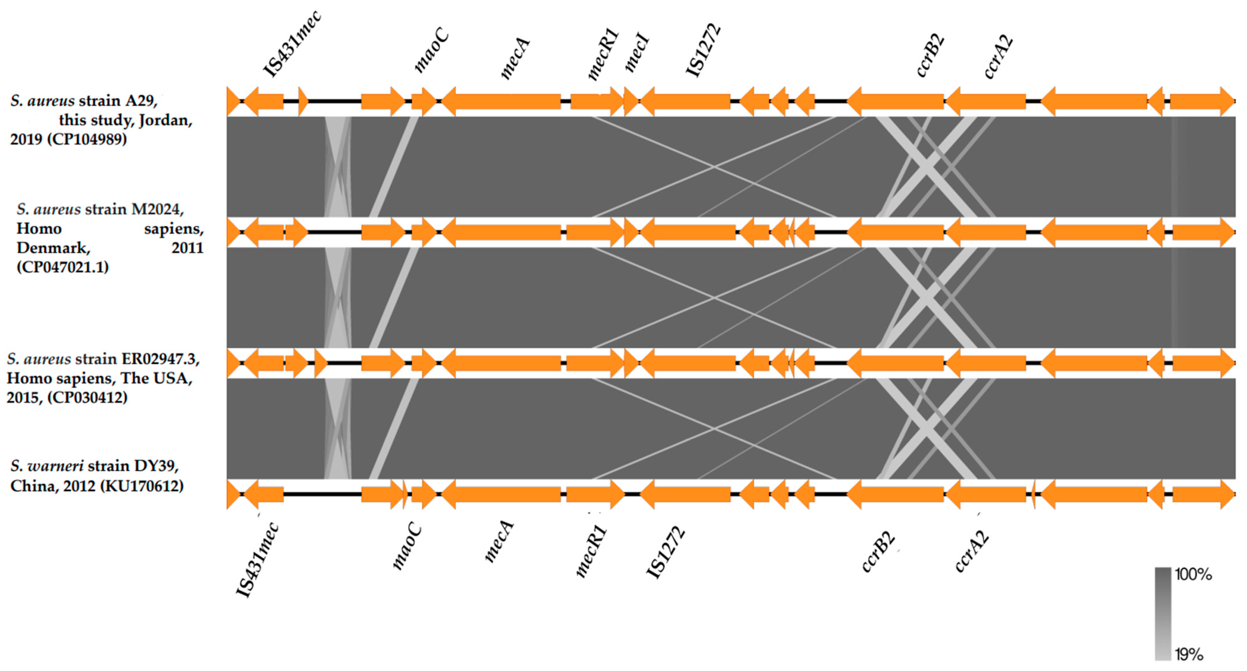 Medicina 60 00295 g002