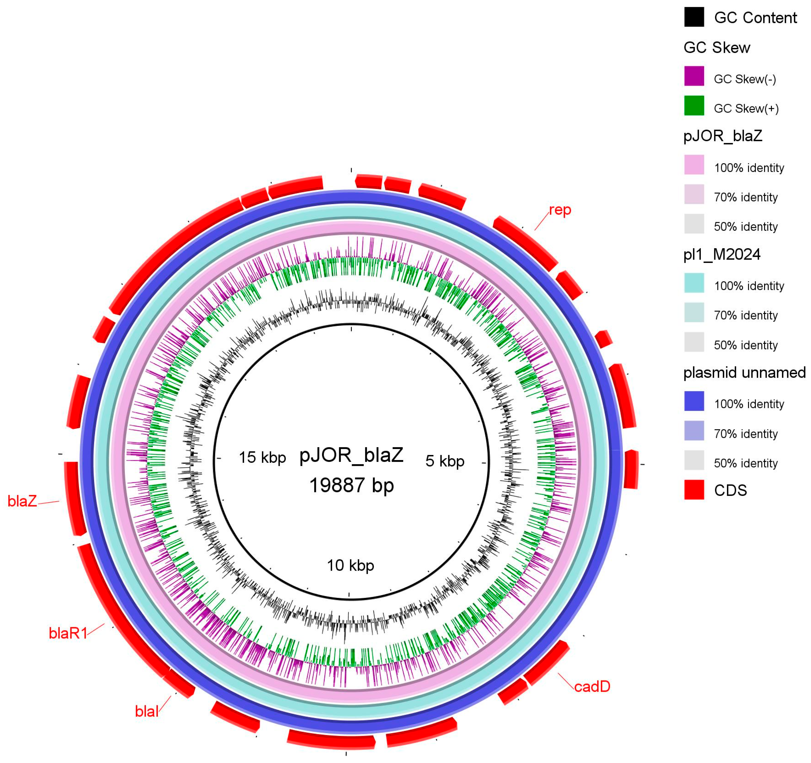 Medicina 60 00295 g003