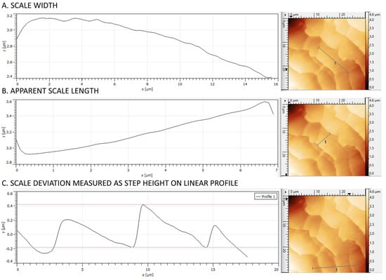 Medicina 60 00297 g001