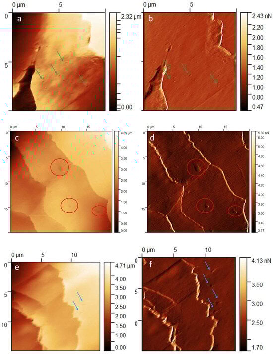 Medicina 60 00297 g004