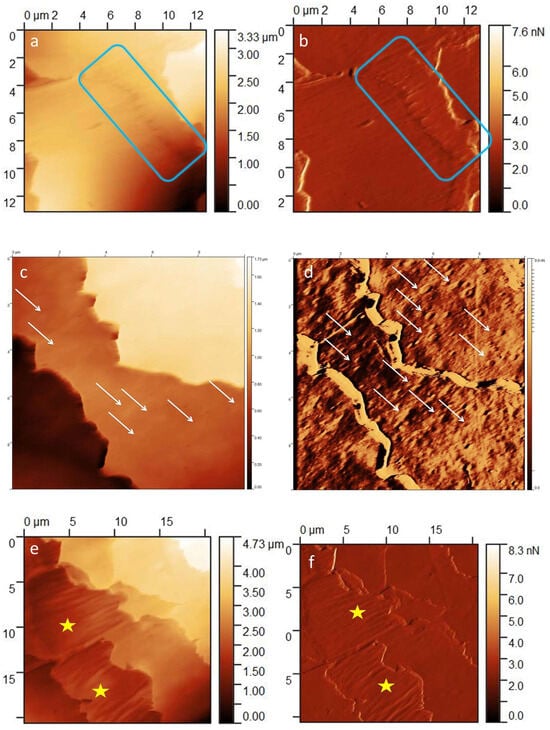Medicina 60 00297 g005