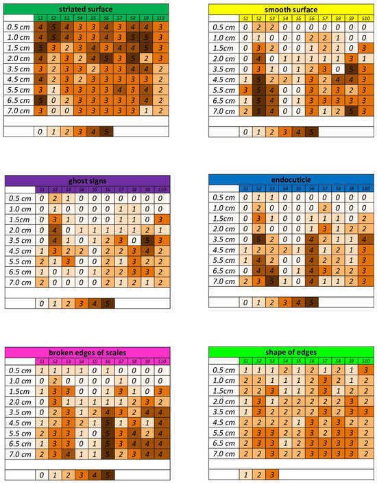Medicina 60 00297 g006