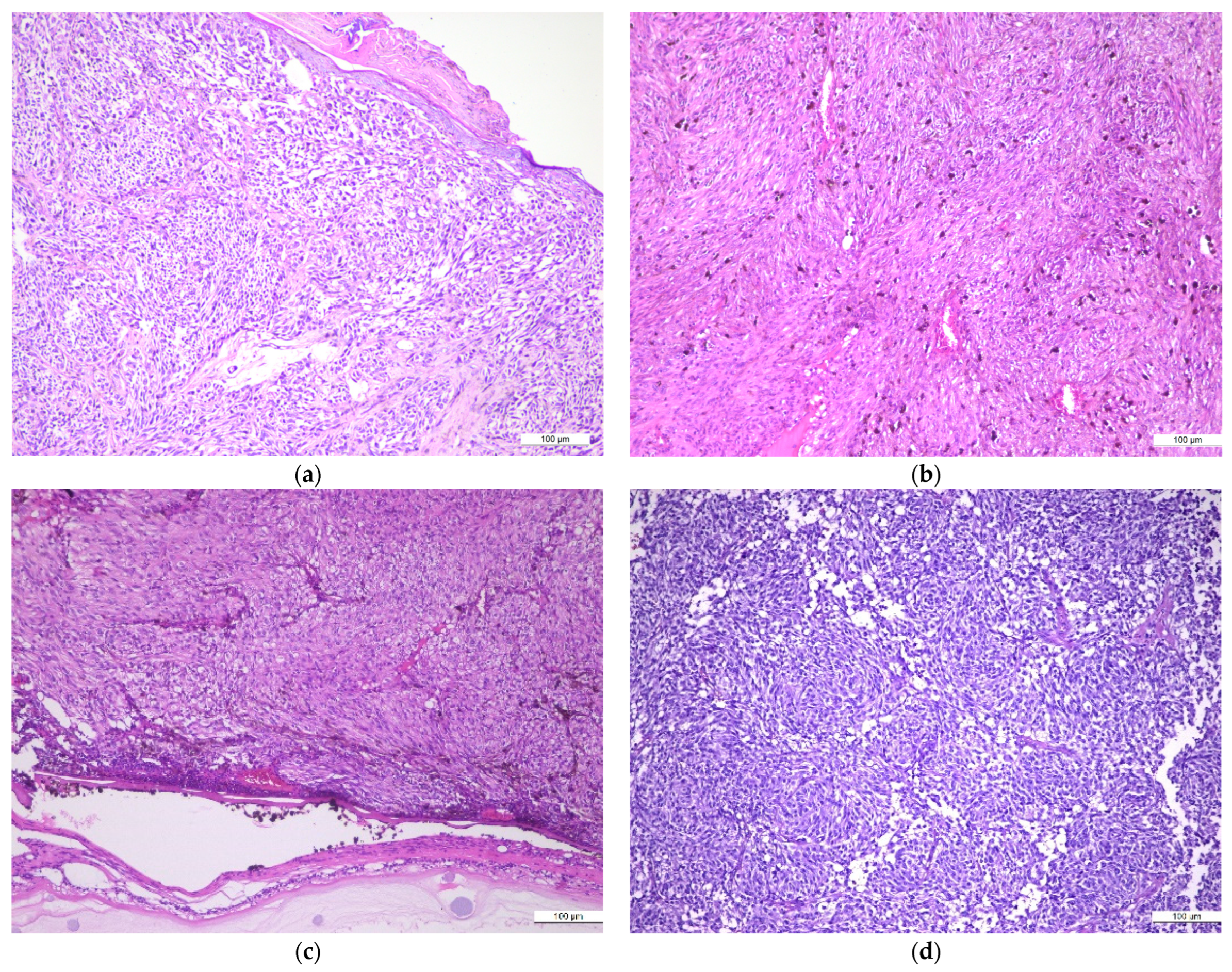 Medicina 60 00351 g001