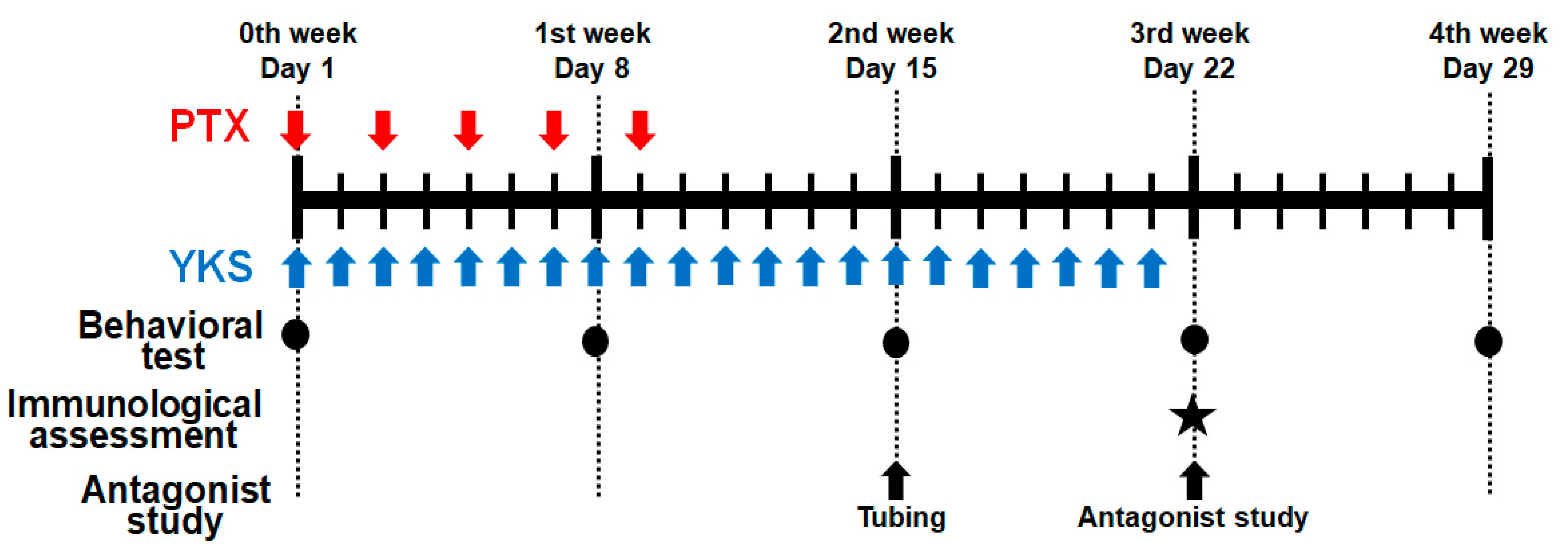 Medicina 60 00359 g001