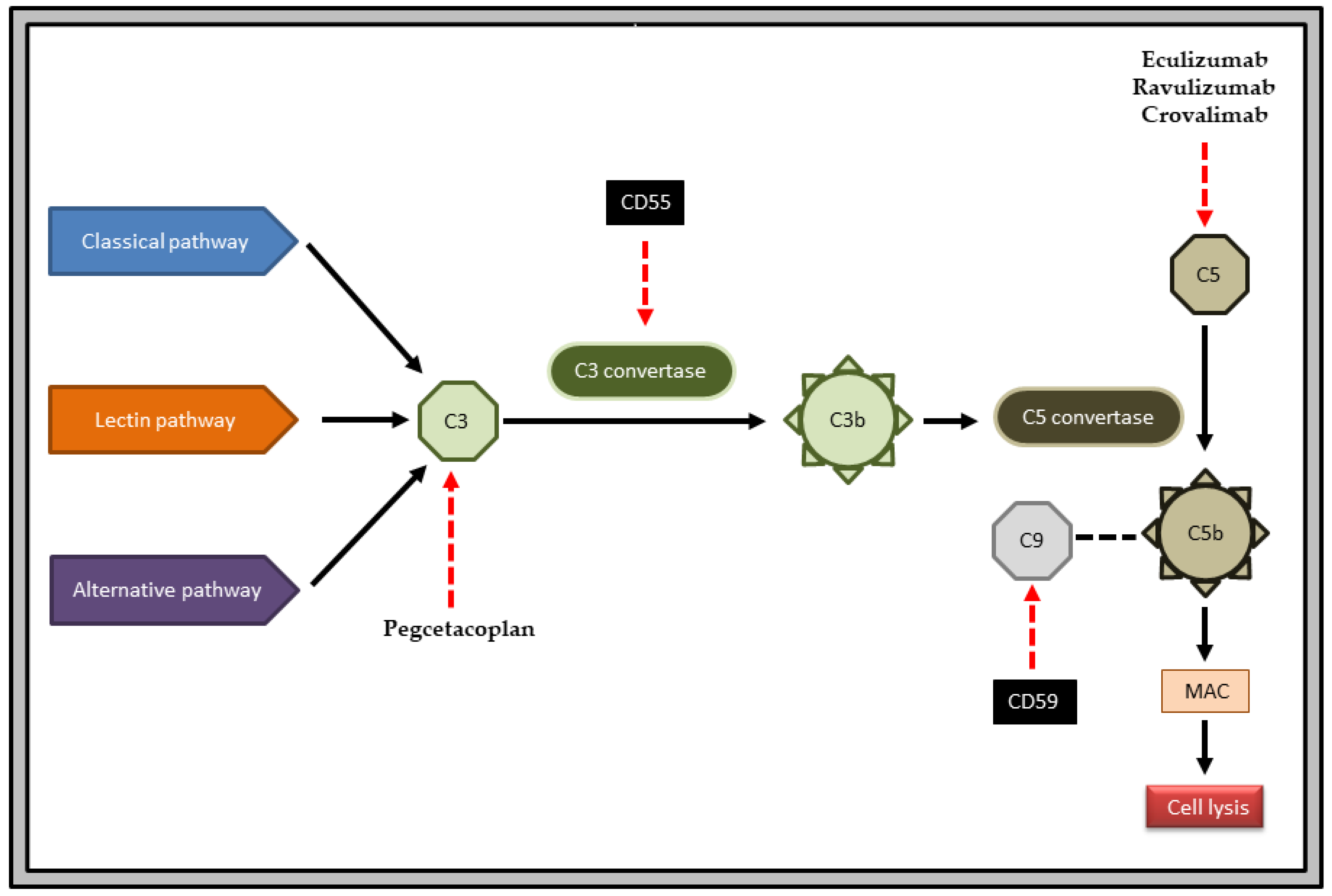 Medicina 60 00379 g001