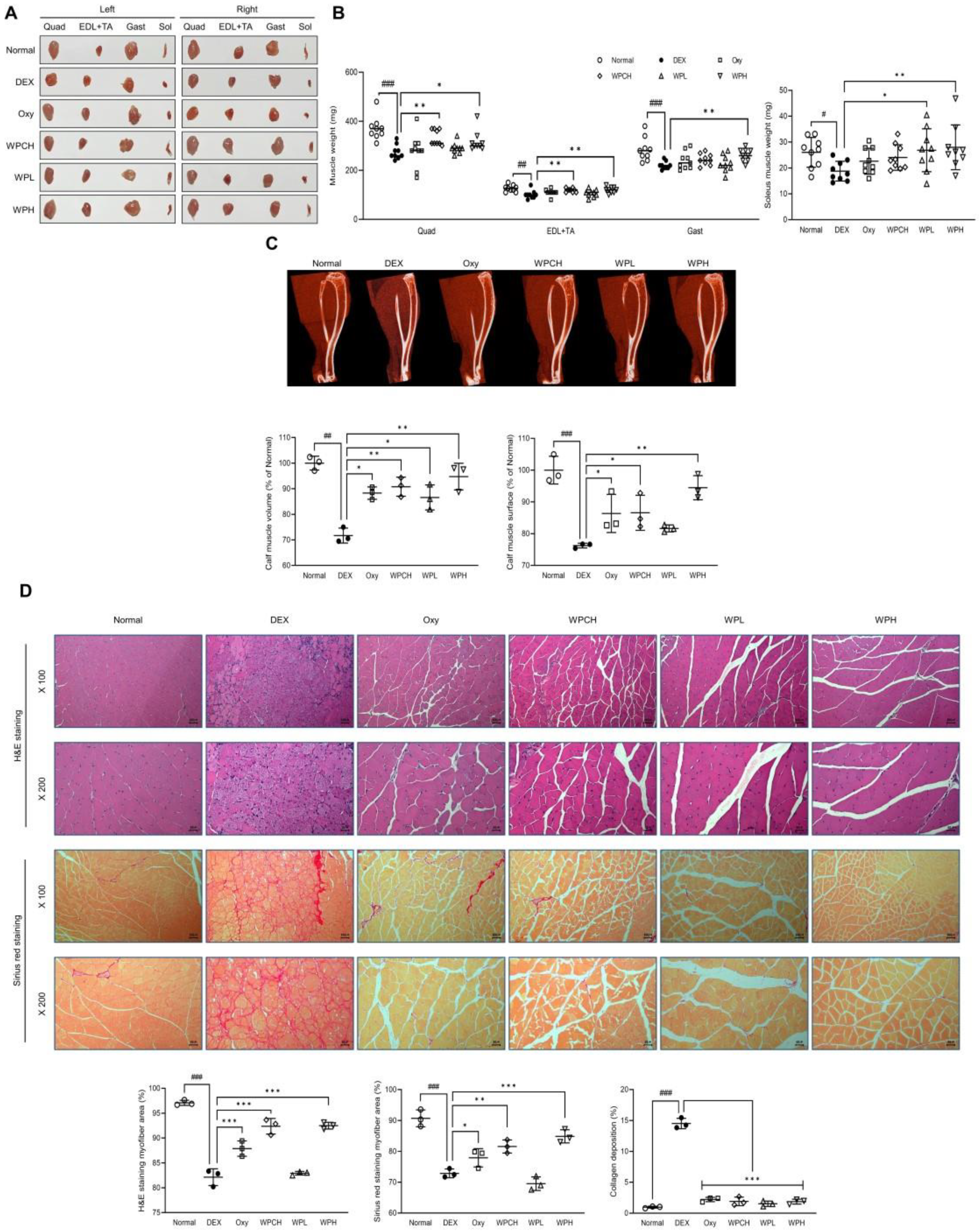 Medicina 60 00433 g002