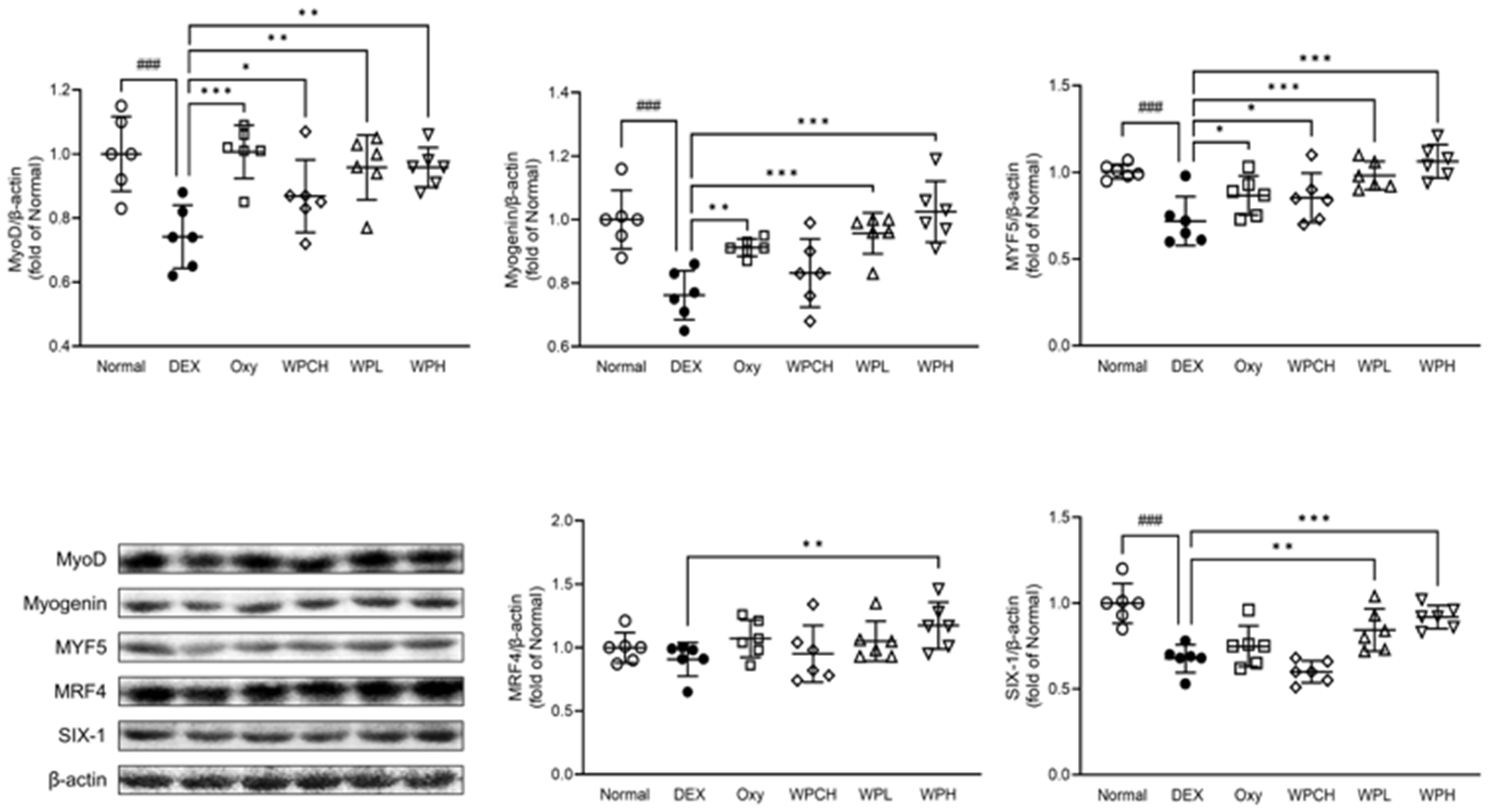 Medicina 60 00433 g007