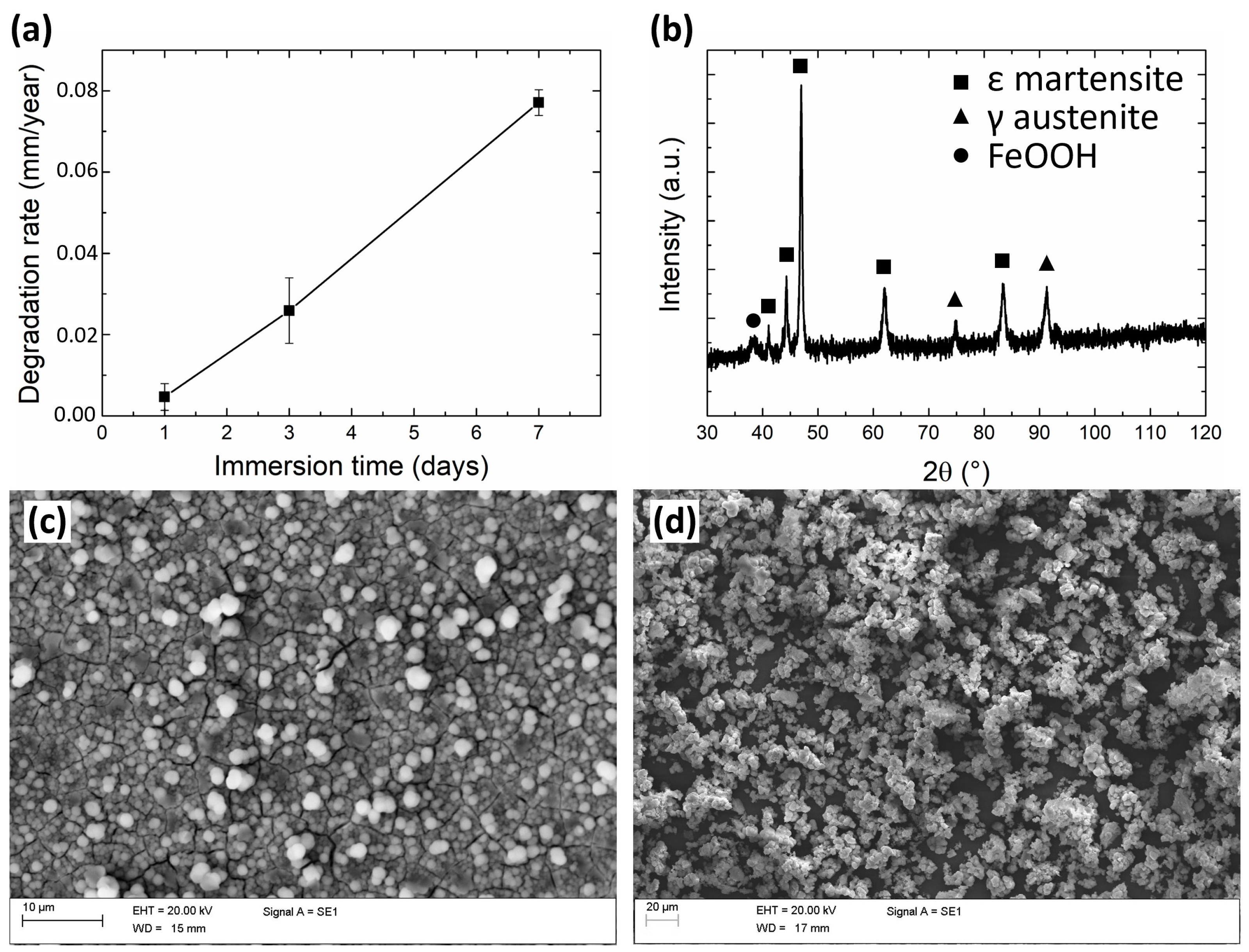 Medicina 60 00440 g001