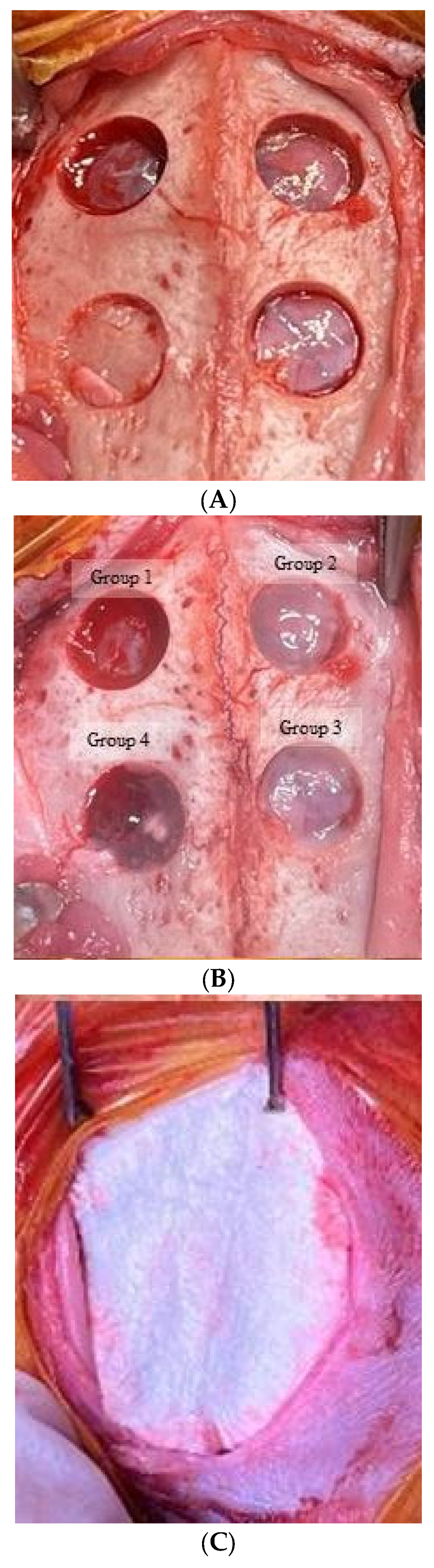 Medicina 60 00451 g001a