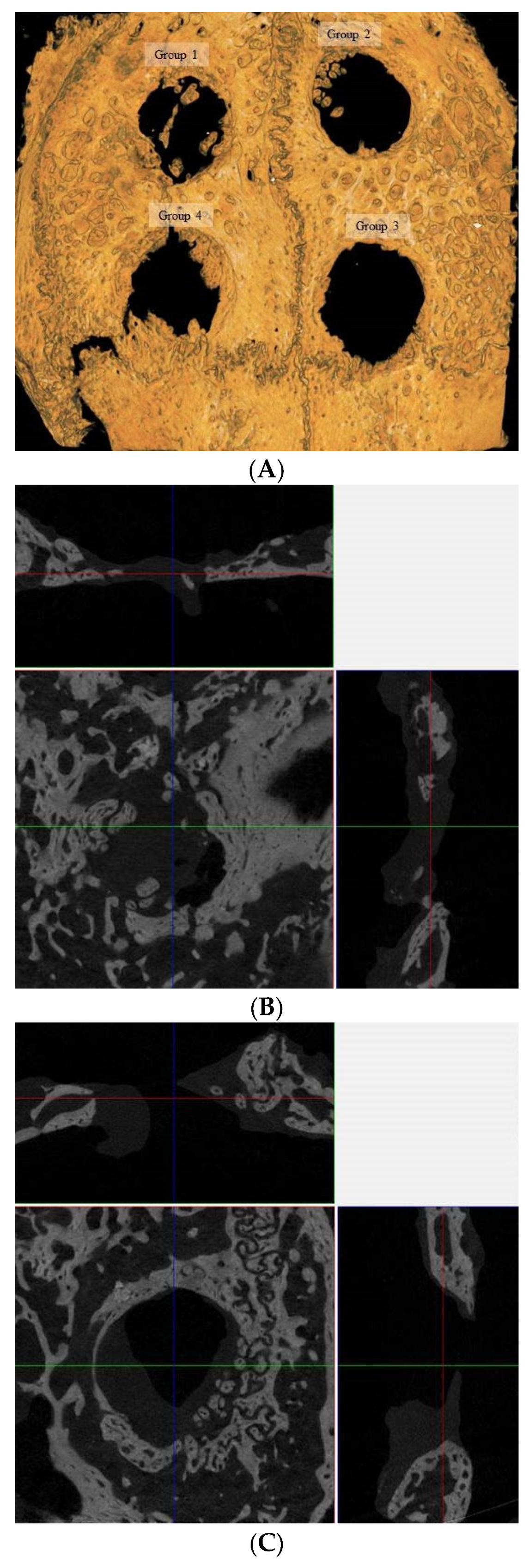 Medicina 60 00451 g003a