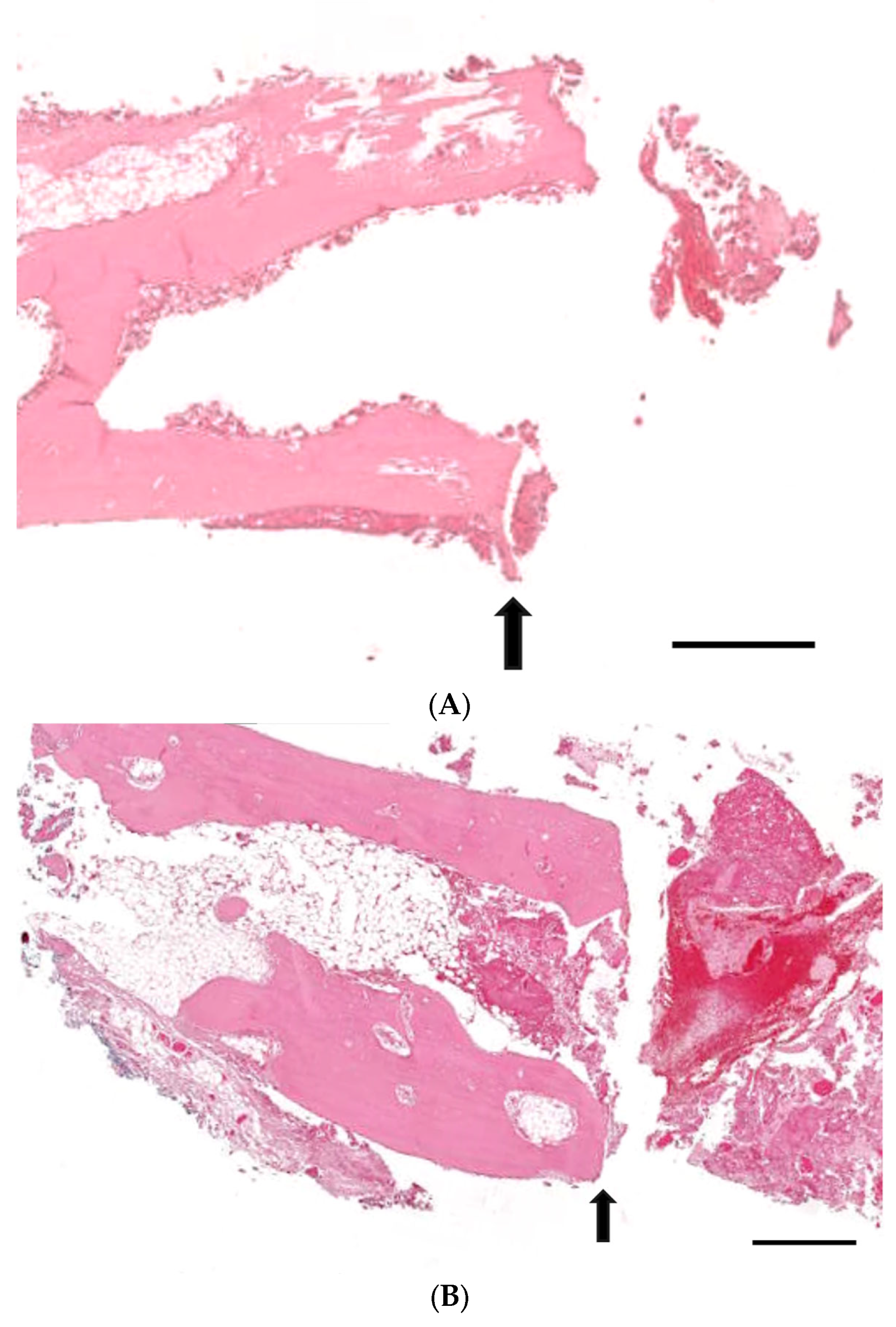 Medicina 60 00451 g005a