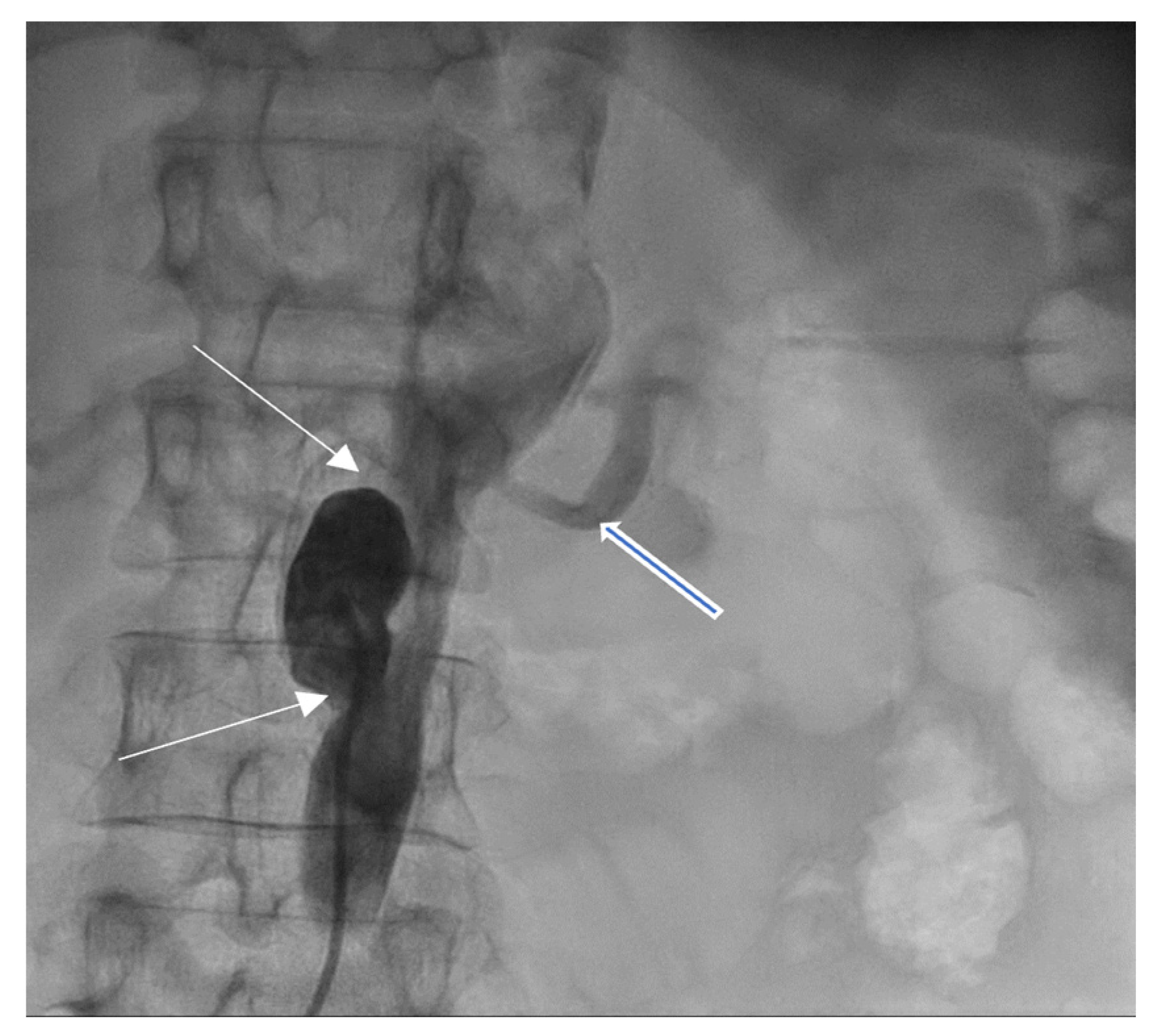 Medicina 60 00456 g008