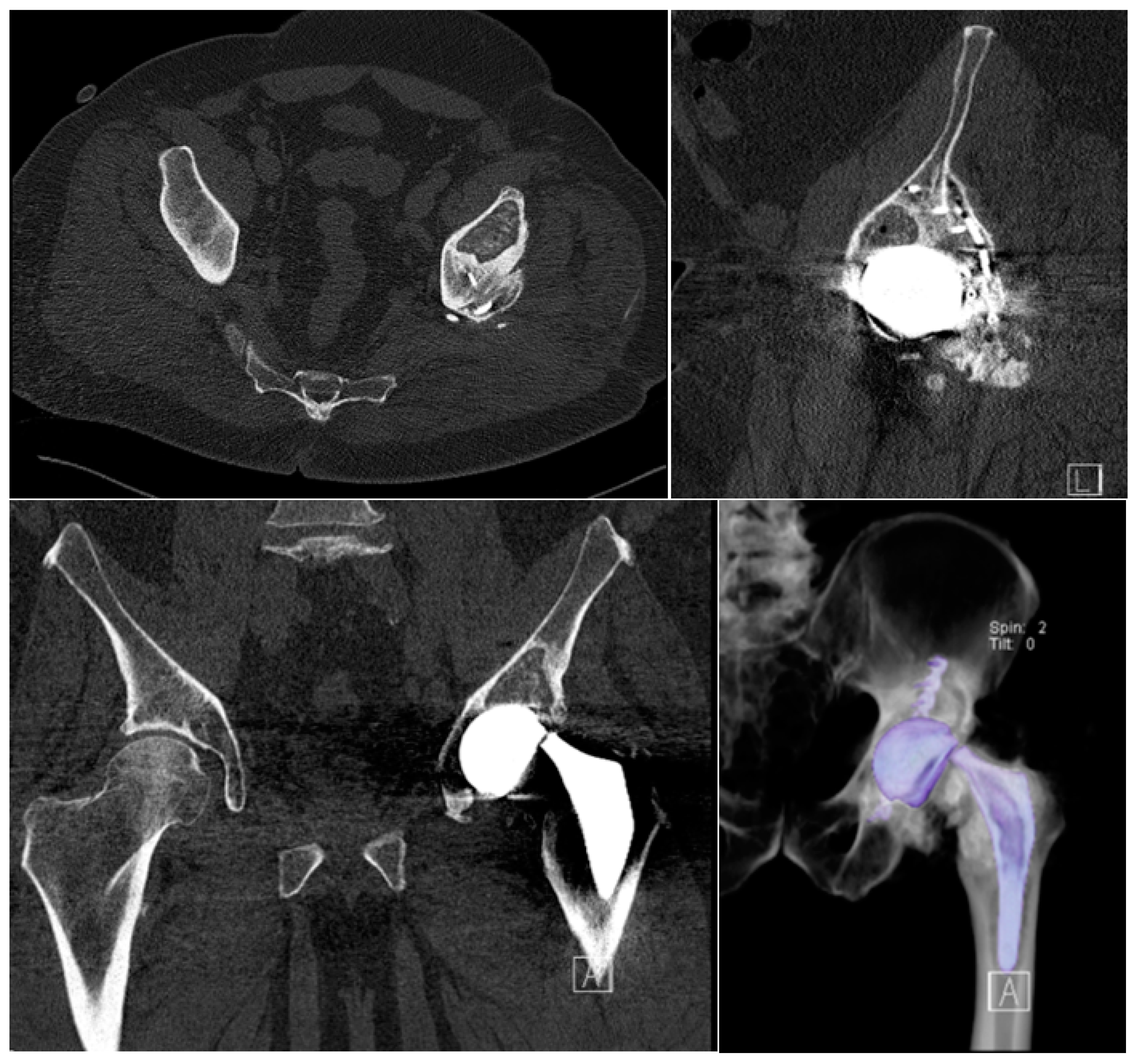 Medicina 60 00458 g001