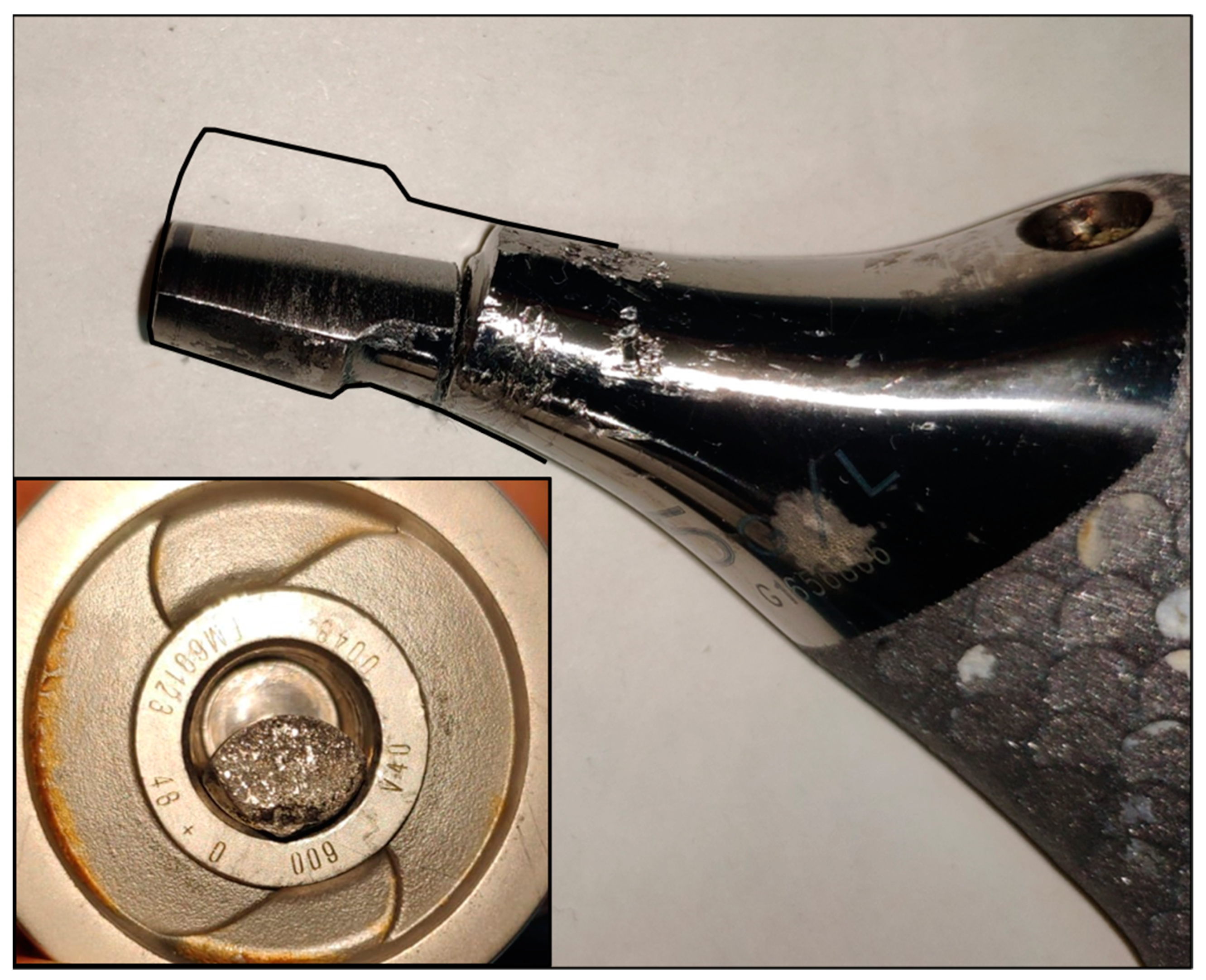 Medicina 60 00458 g003