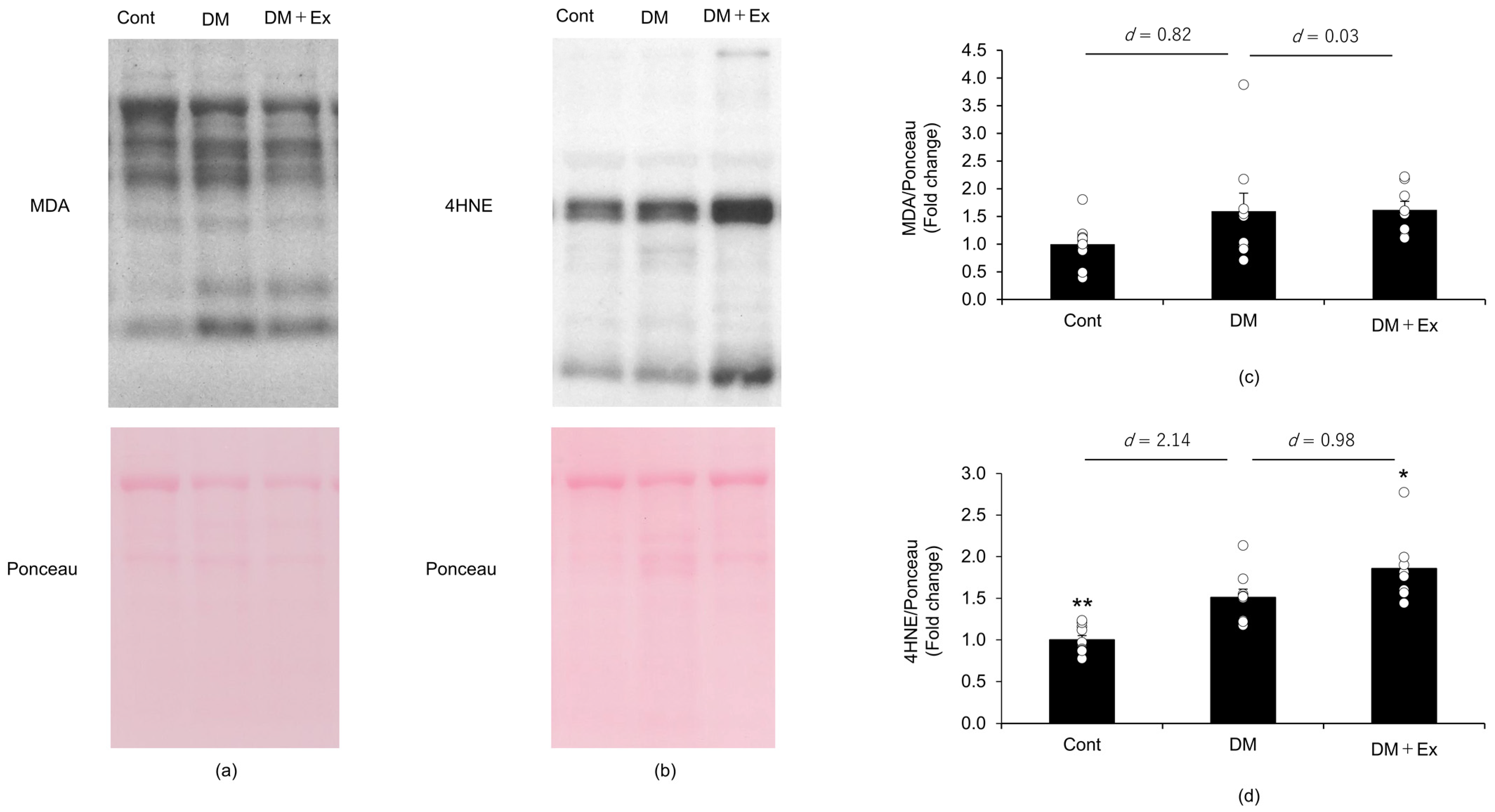 Medicina 60 00480 g003