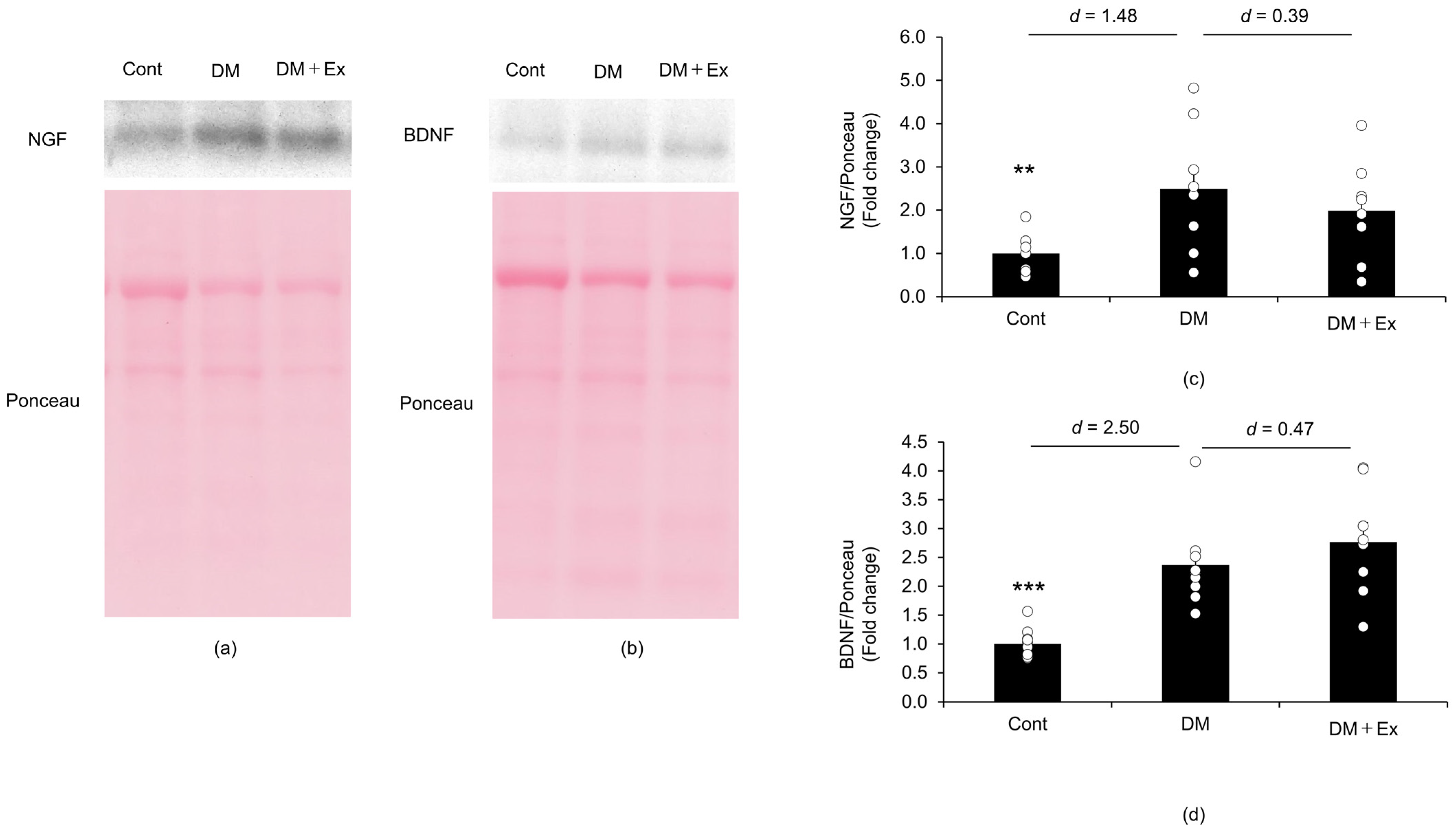 Medicina 60 00480 g004