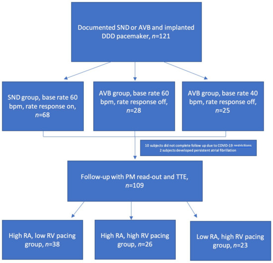 Medicina 60 00503 g002