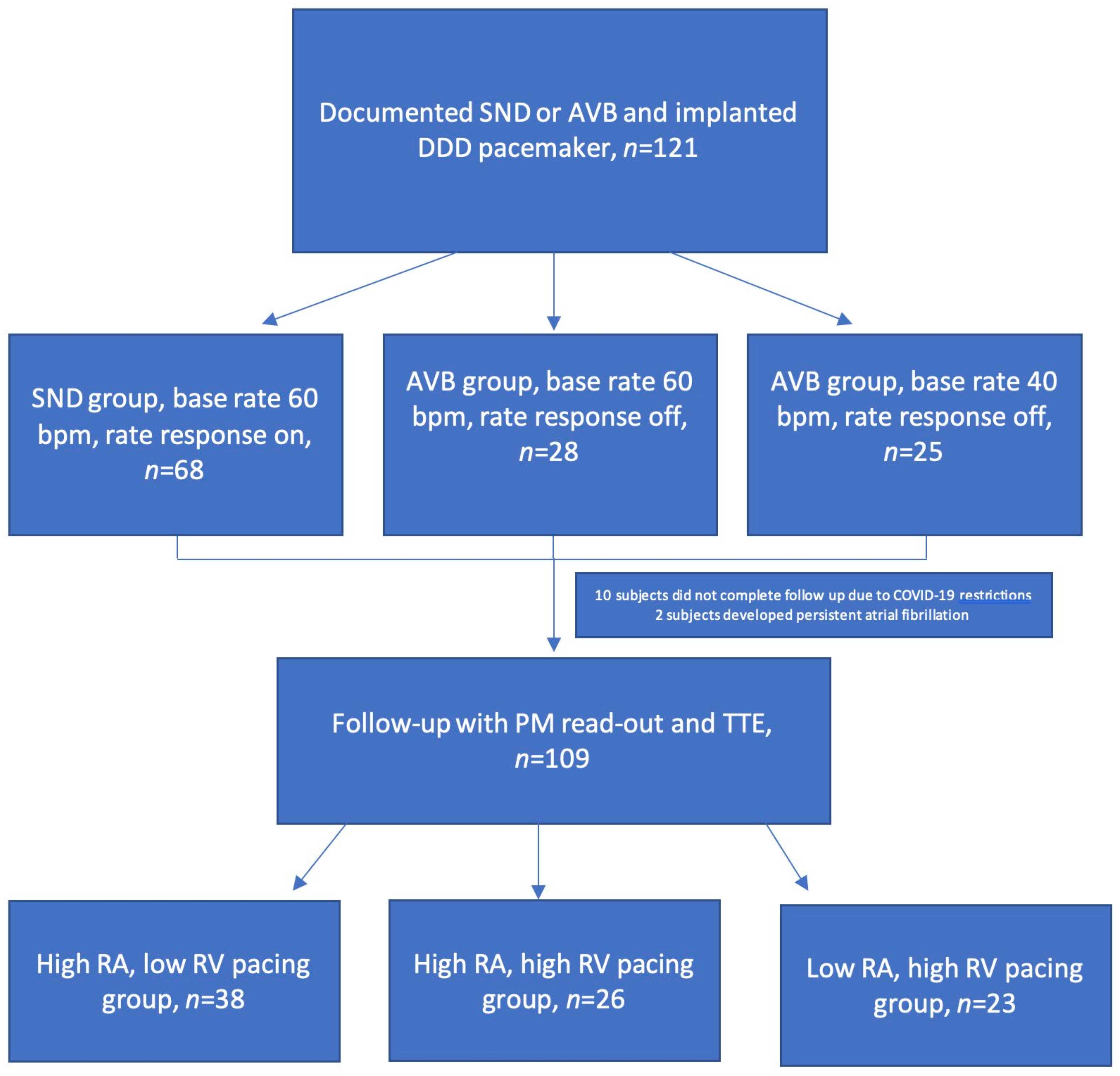 Medicina 60 00503 g002