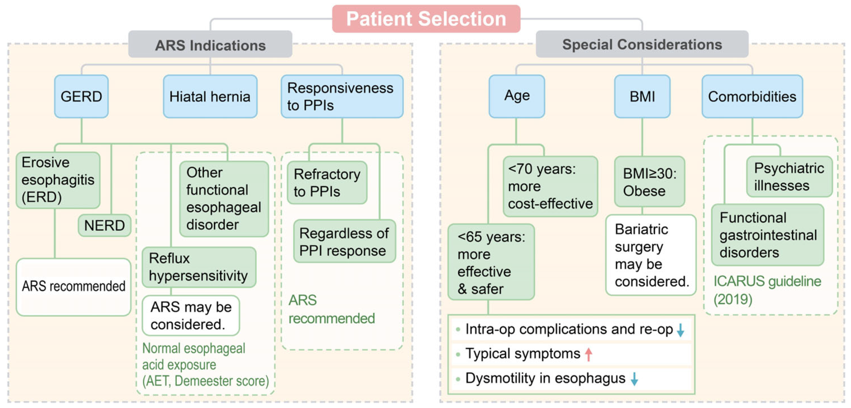 Medicina 60 00518 g001