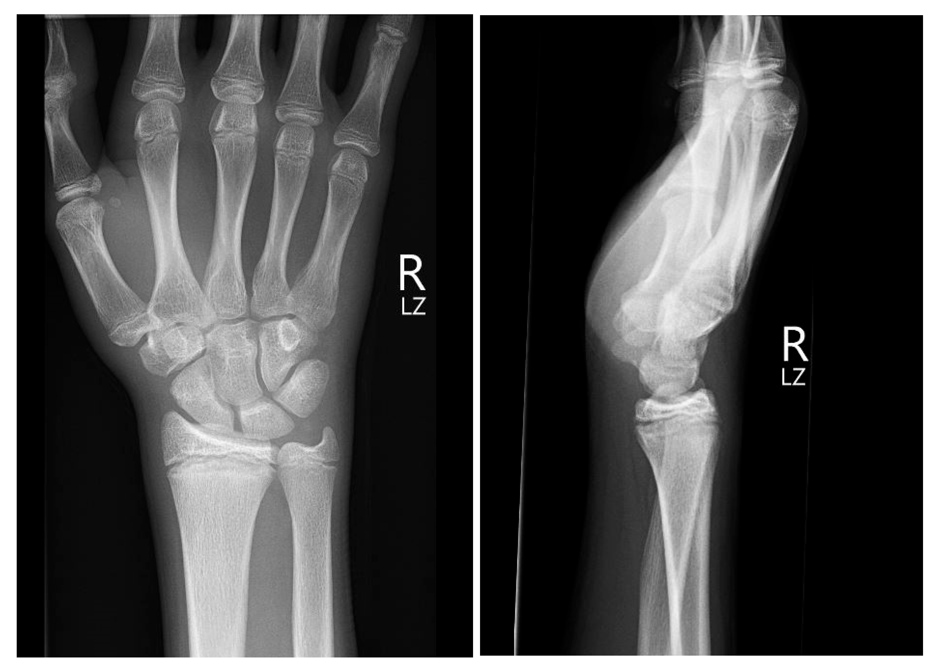 Medicina 60 00532 g001