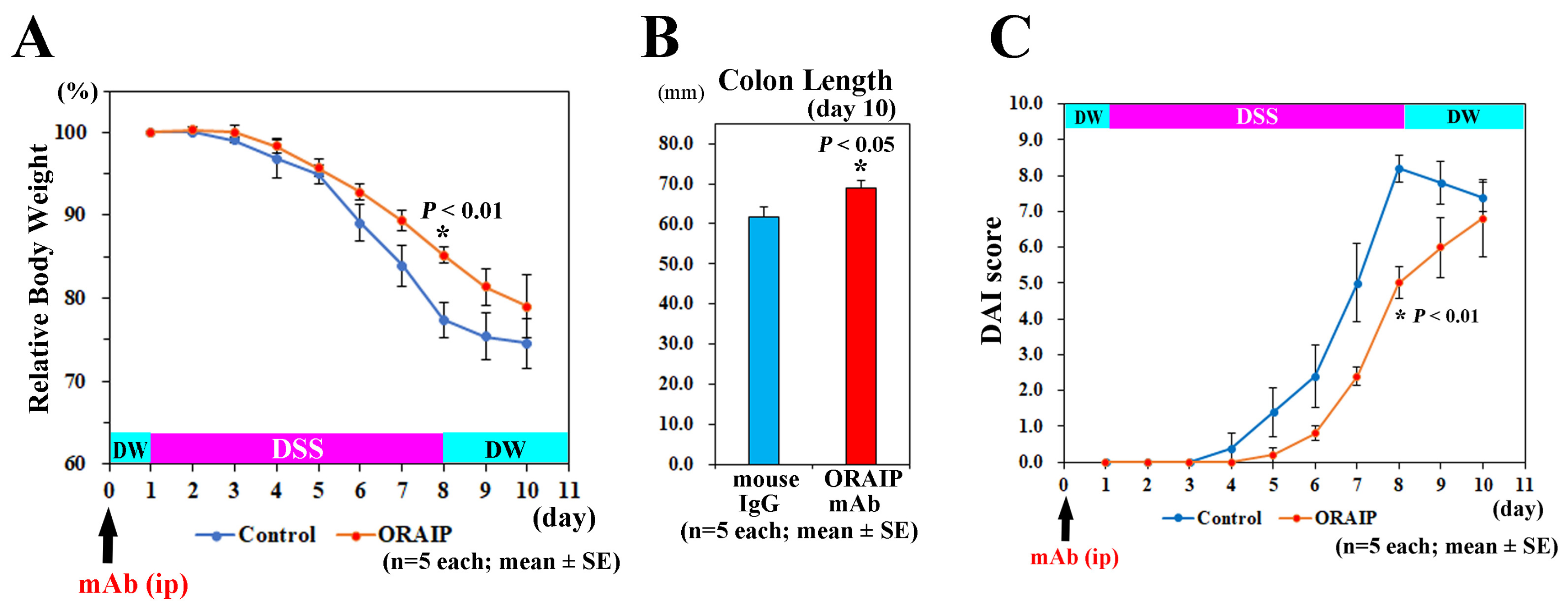 Medicina 60 00539 g002