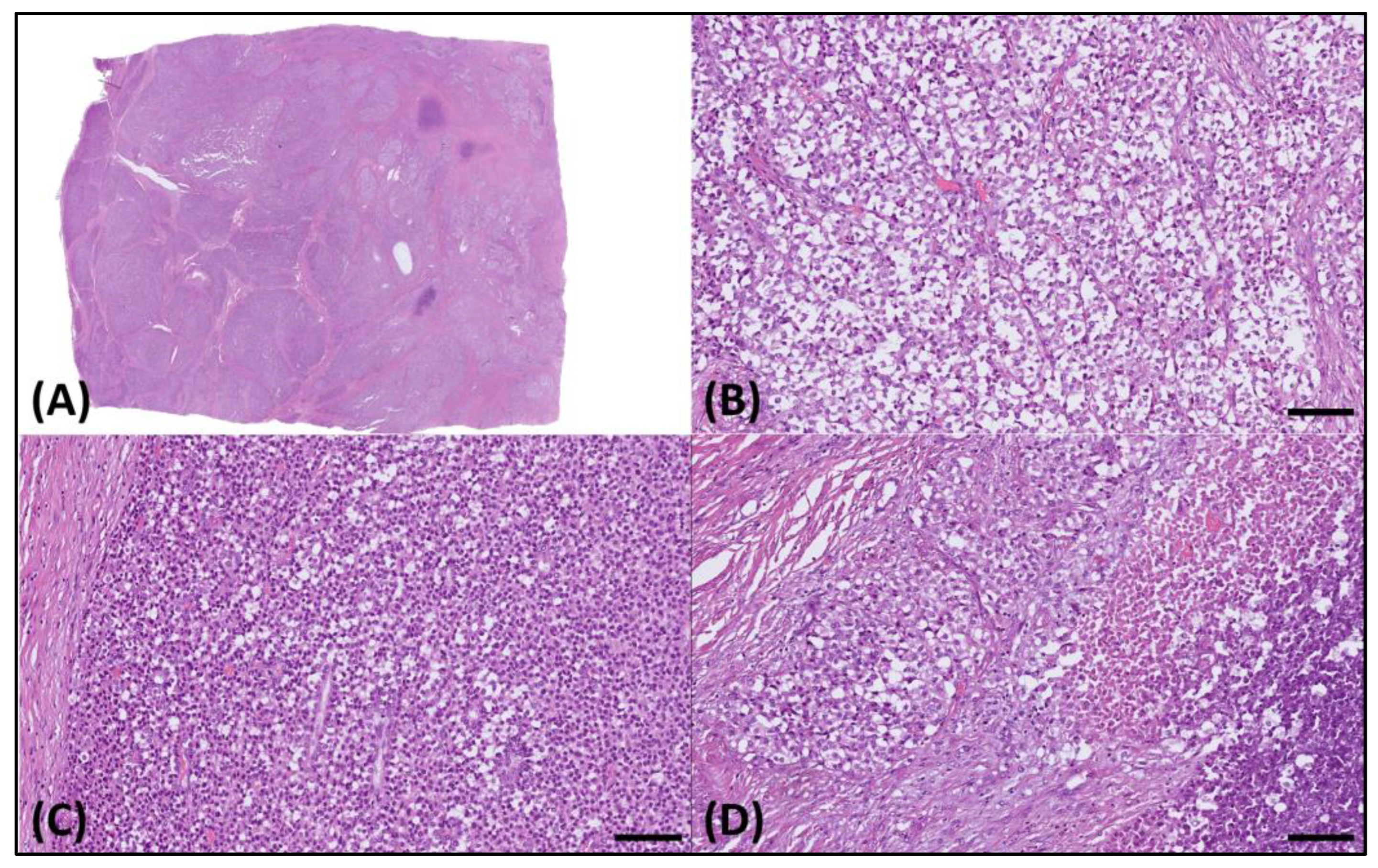 Medicina 60 00544 g002