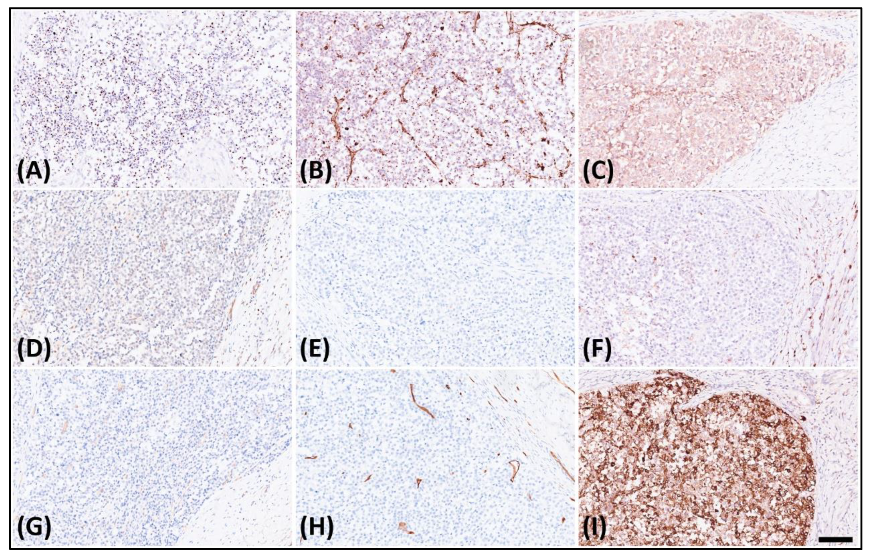 Medicina 60 00544 g003