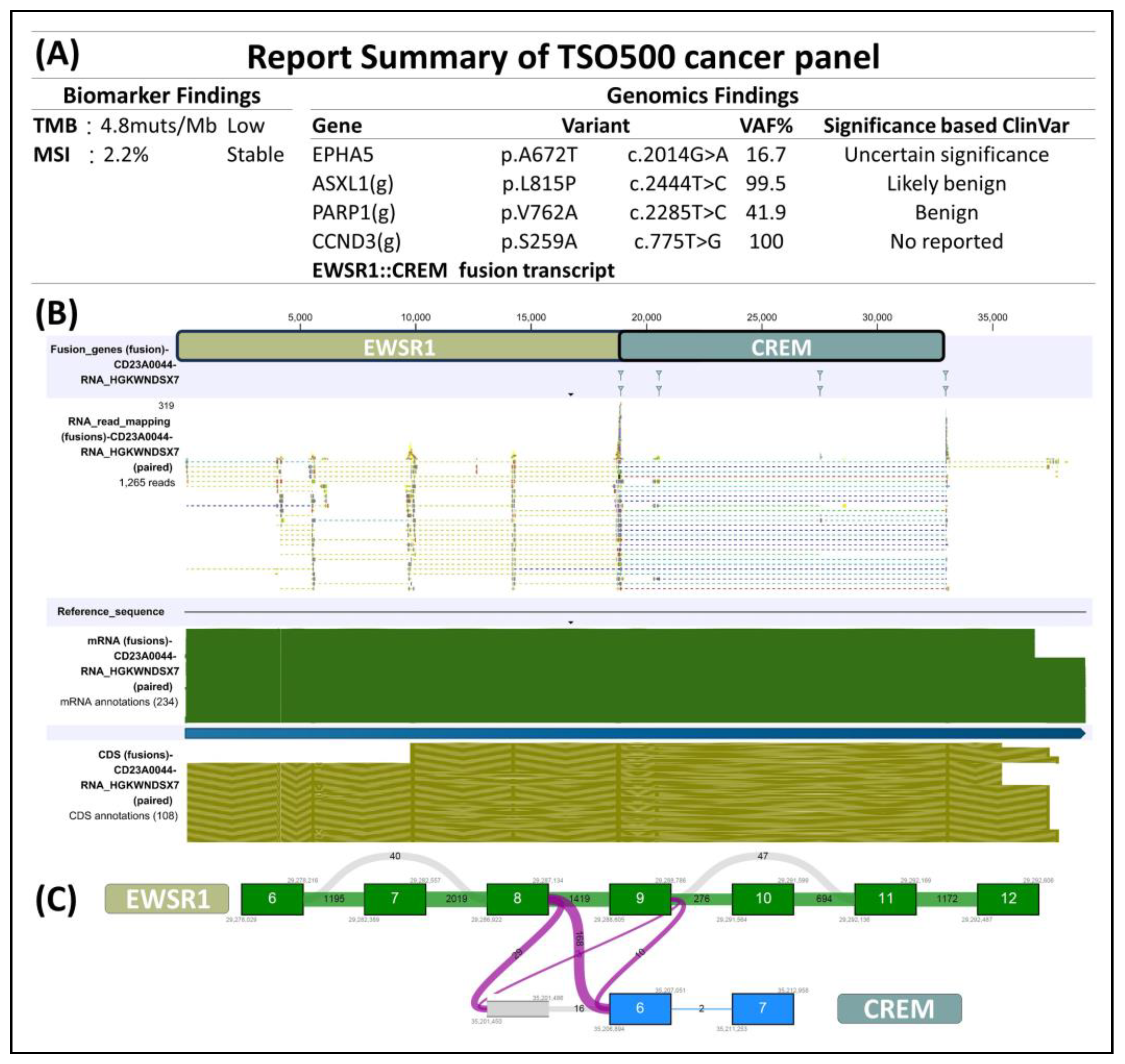 Medicina 60 00544 g004