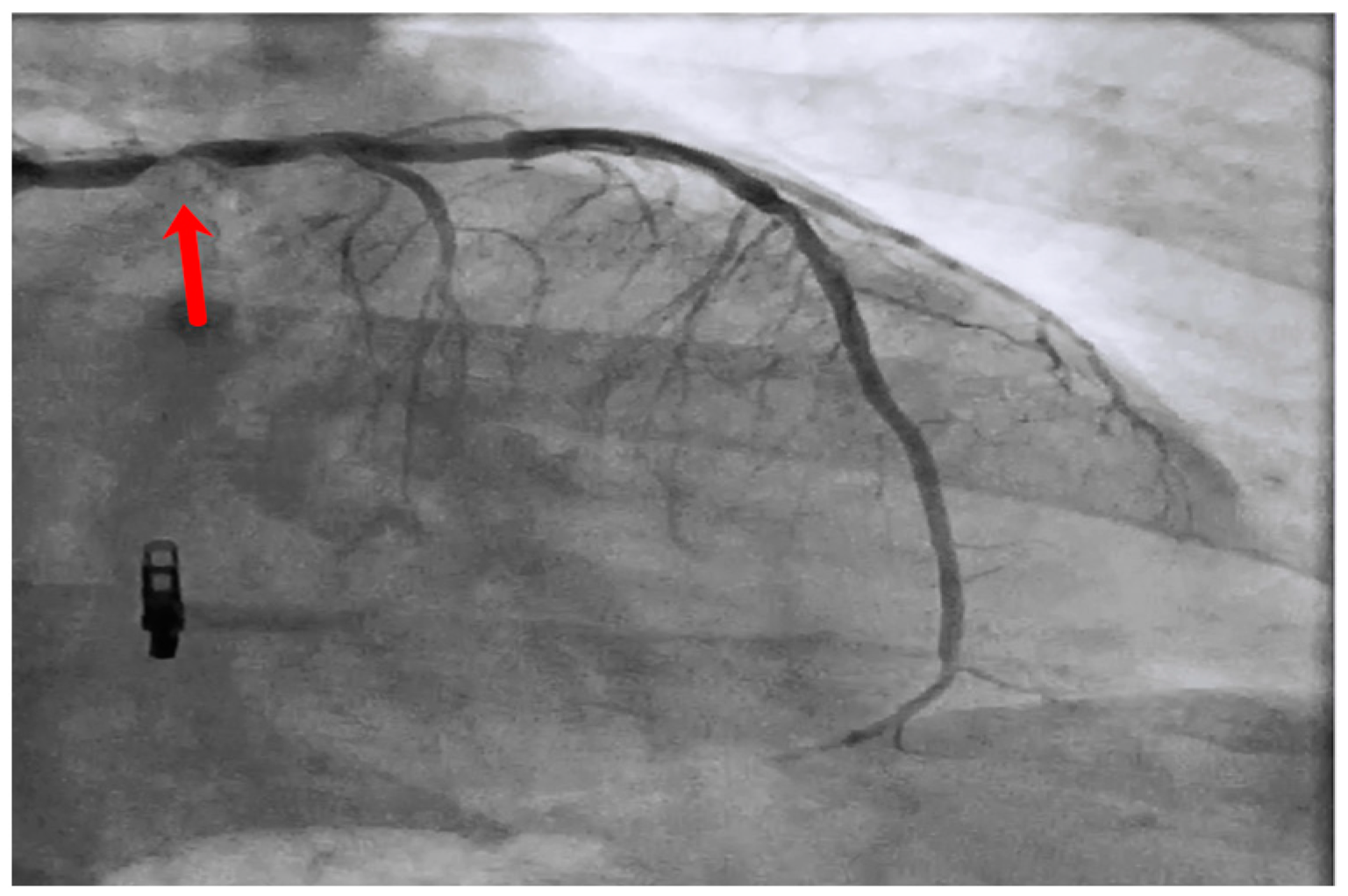 Medicina 60 00549 g002