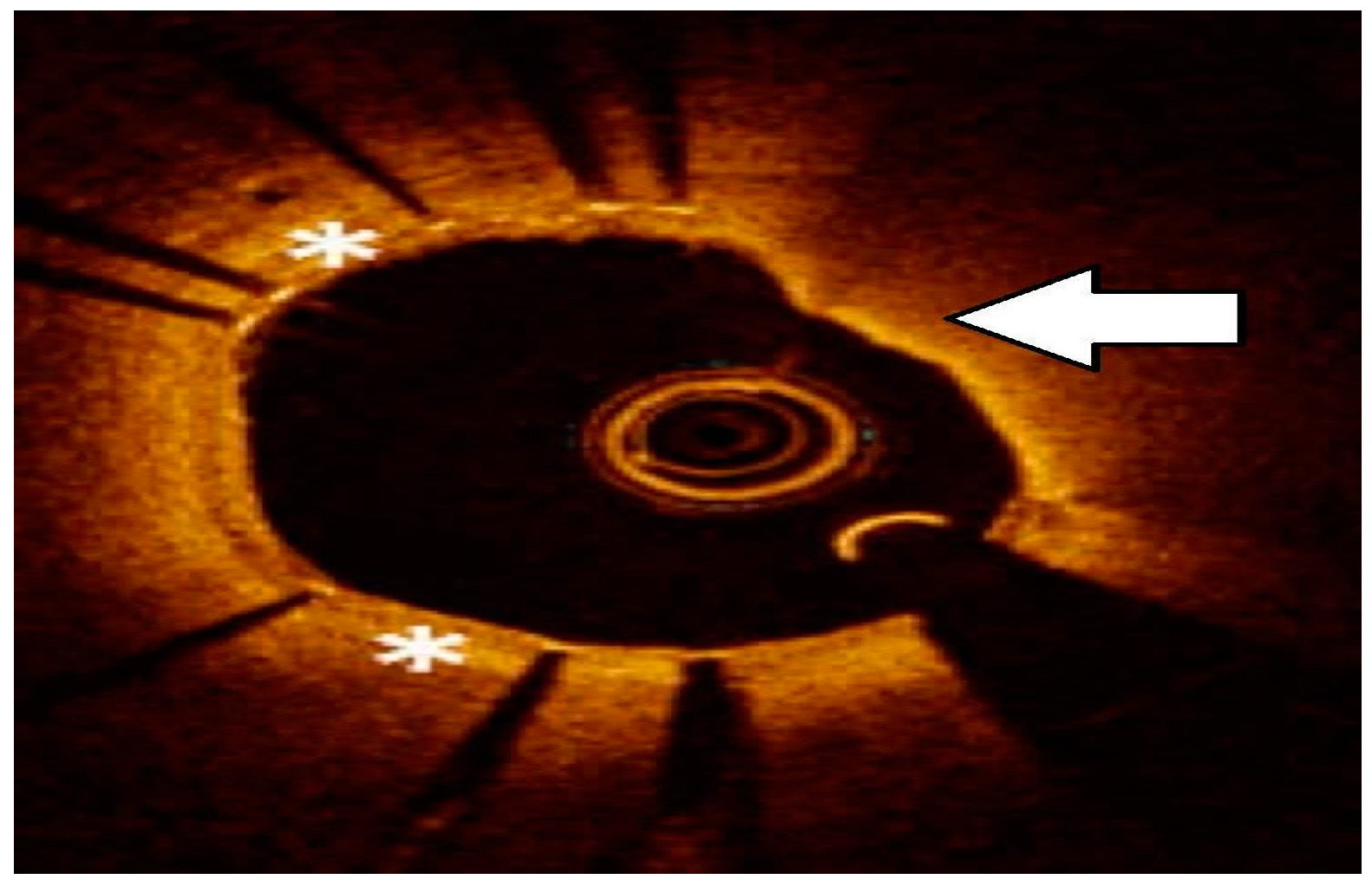Medicina 60 00549 g003