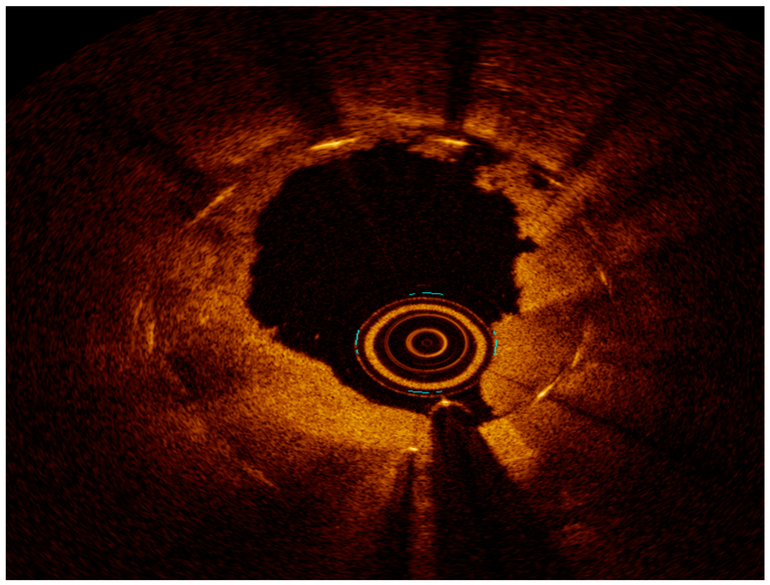 Medicina 60 00549 g005