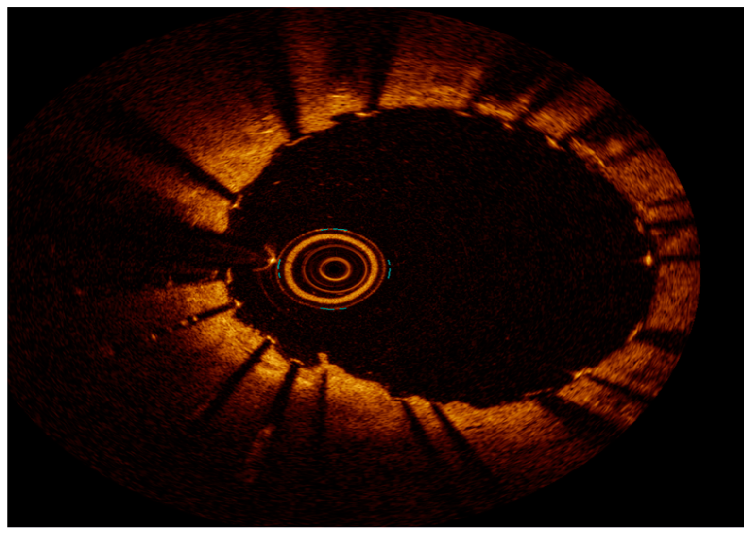 Medicina 60 00549 g006