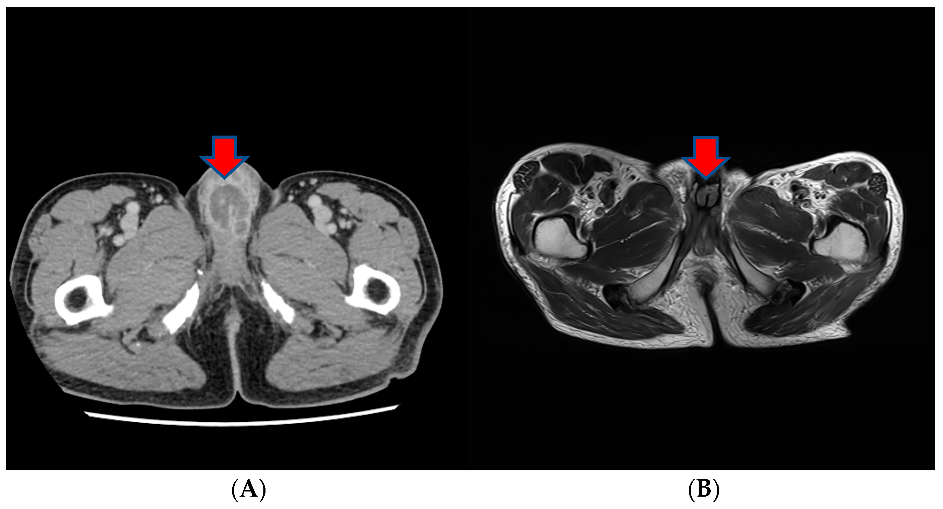Medicina 60 00554 g003a