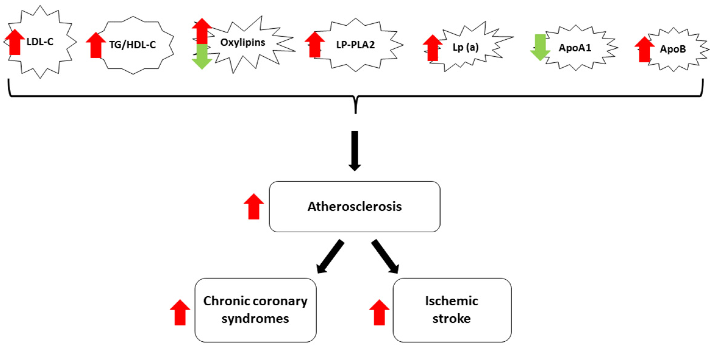 Medicina 60 00561 g001