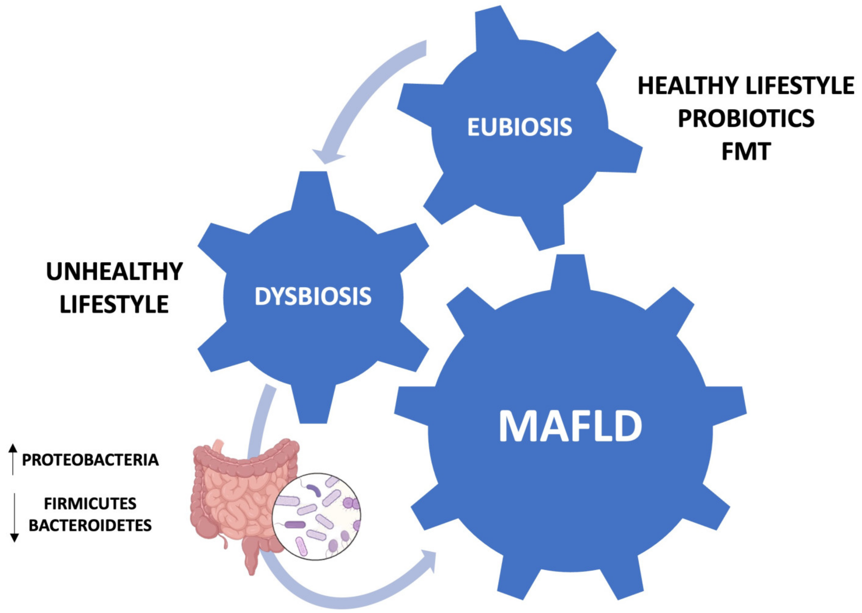 Medicina 60 00563 g001
