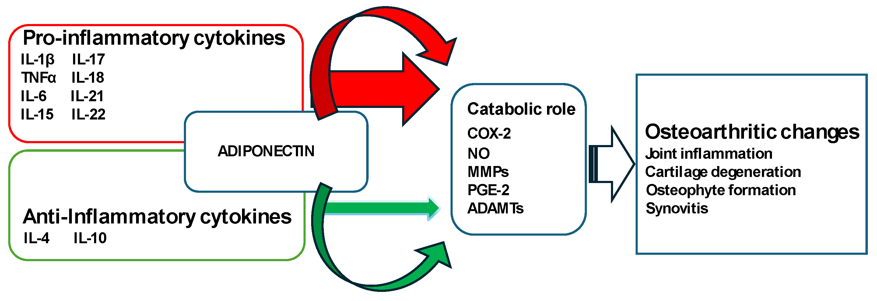 Medicina 60 00571 g001