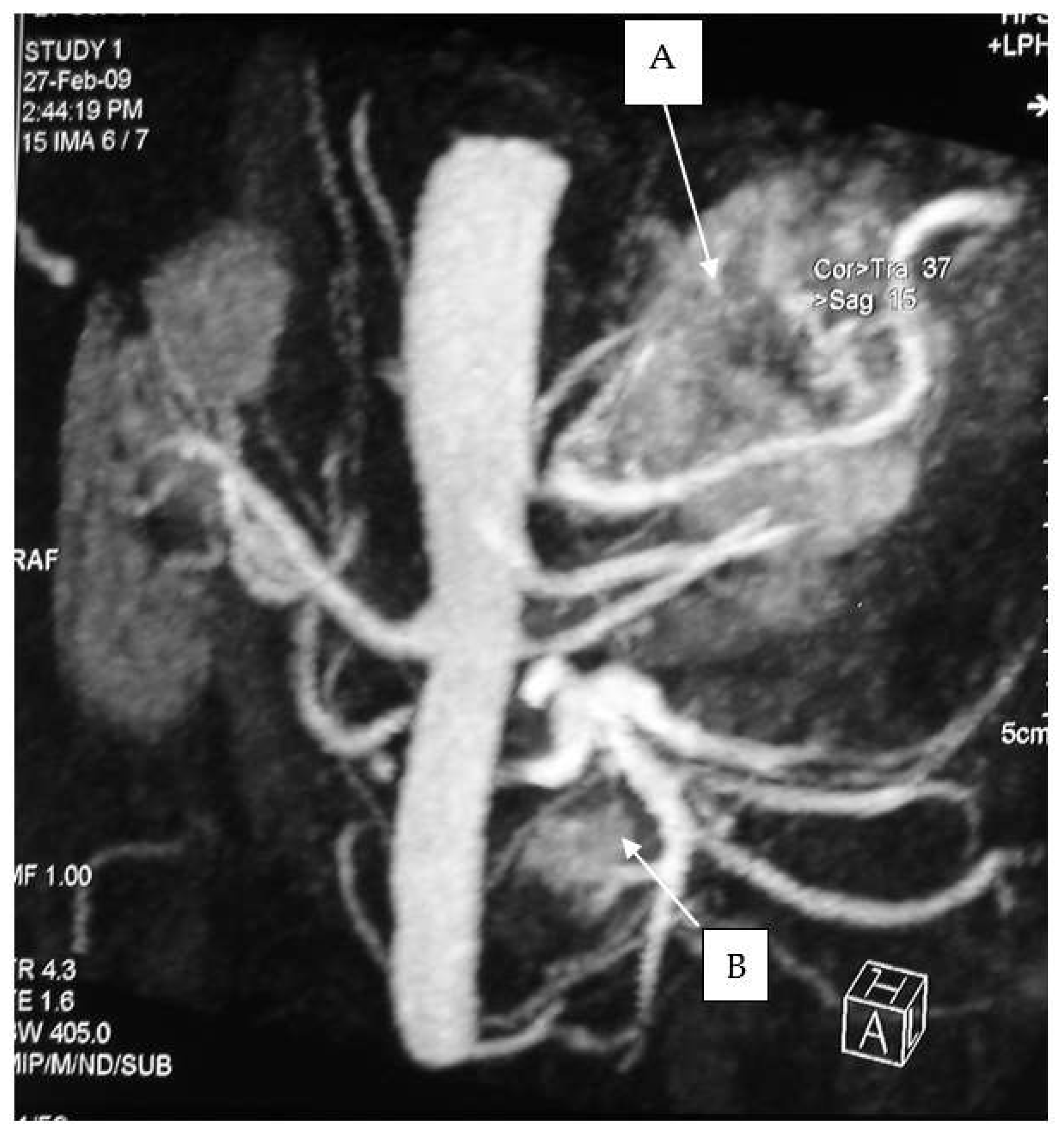 Medicina 60 00604 g001